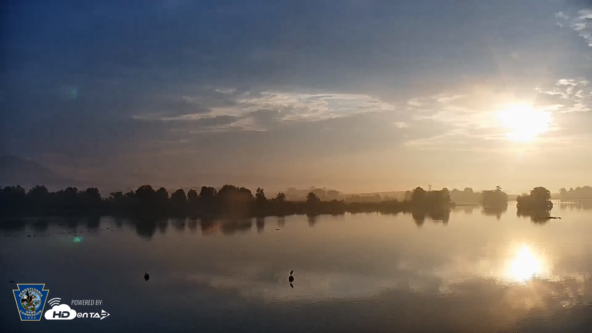 Snapshot of Pennsylvania Snow Geese Live Webcam taken Sep 1, 2026, 7:13am EDT