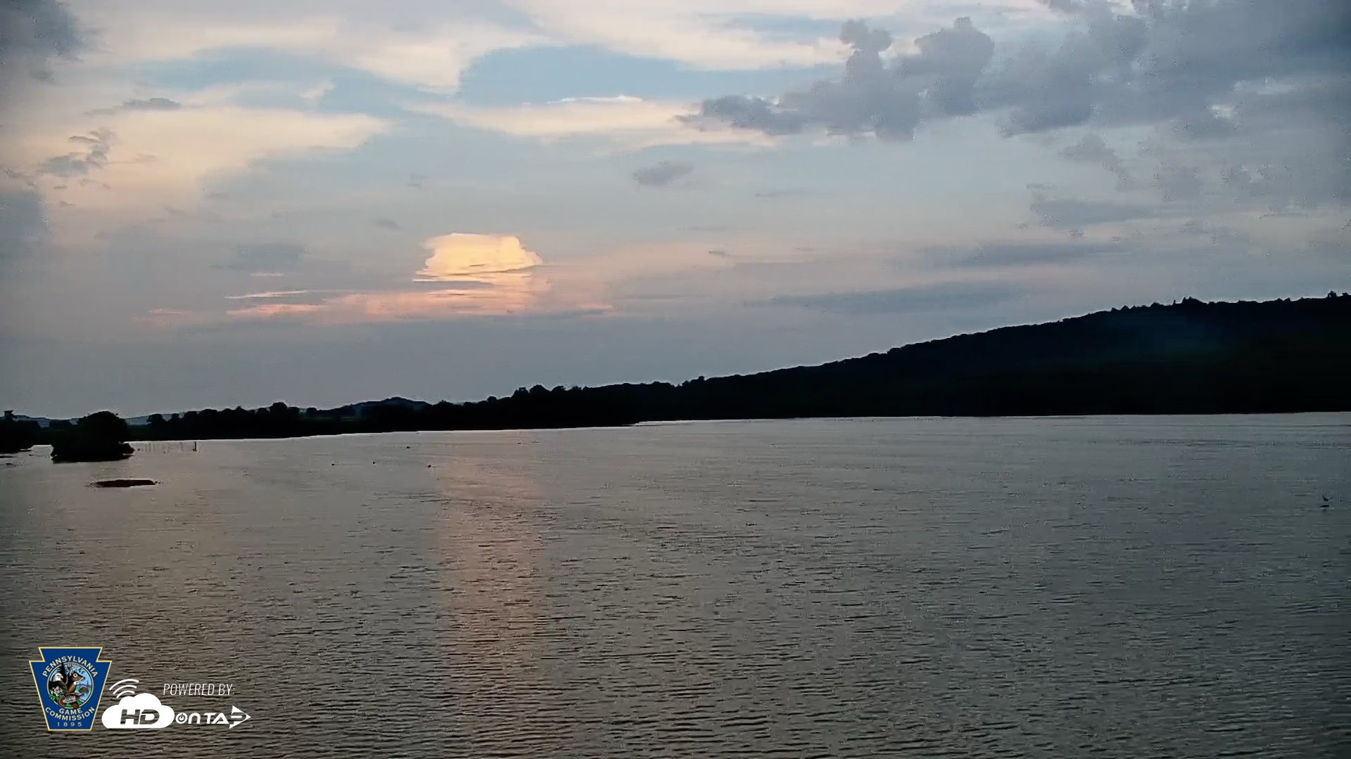 Snapshot of Pennsylvania Snow Geese Live Webcam taken Jul 5, 2026, 7:31pm EDT