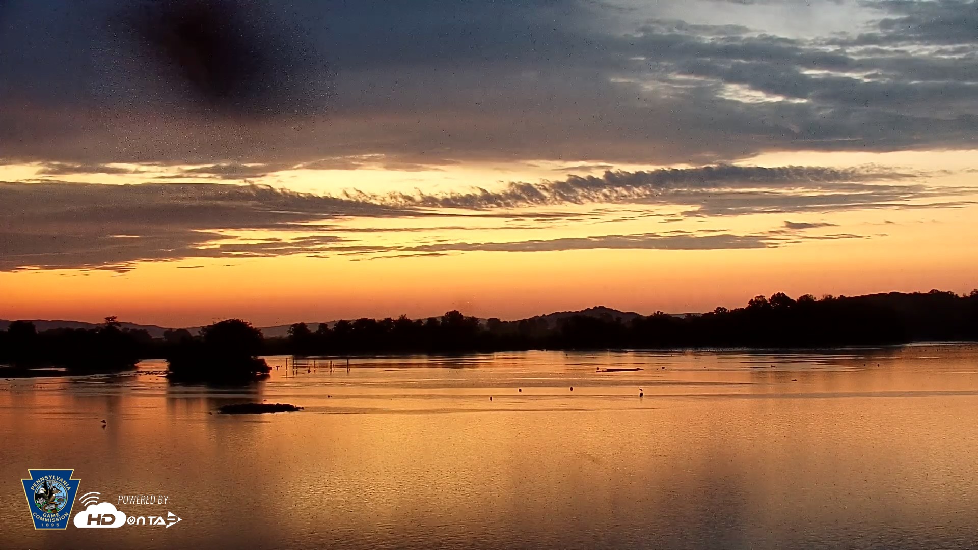 Snapshot of Pennsylvania Snow Geese Live Webcam taken Aug 24, 2026, 6:05am EDT