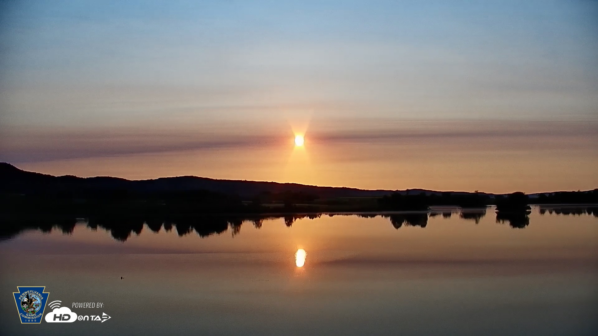 Snapshot of Pennsylvania Snow Geese Live Webcam taken Jun 3, 2025, 6:17am EDT