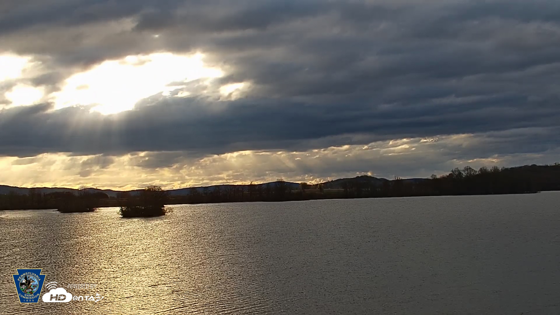 Snapshot of Pennsylvania Snow Geese Live Webcam taken Apr 16, 2025, 7:22am EDT