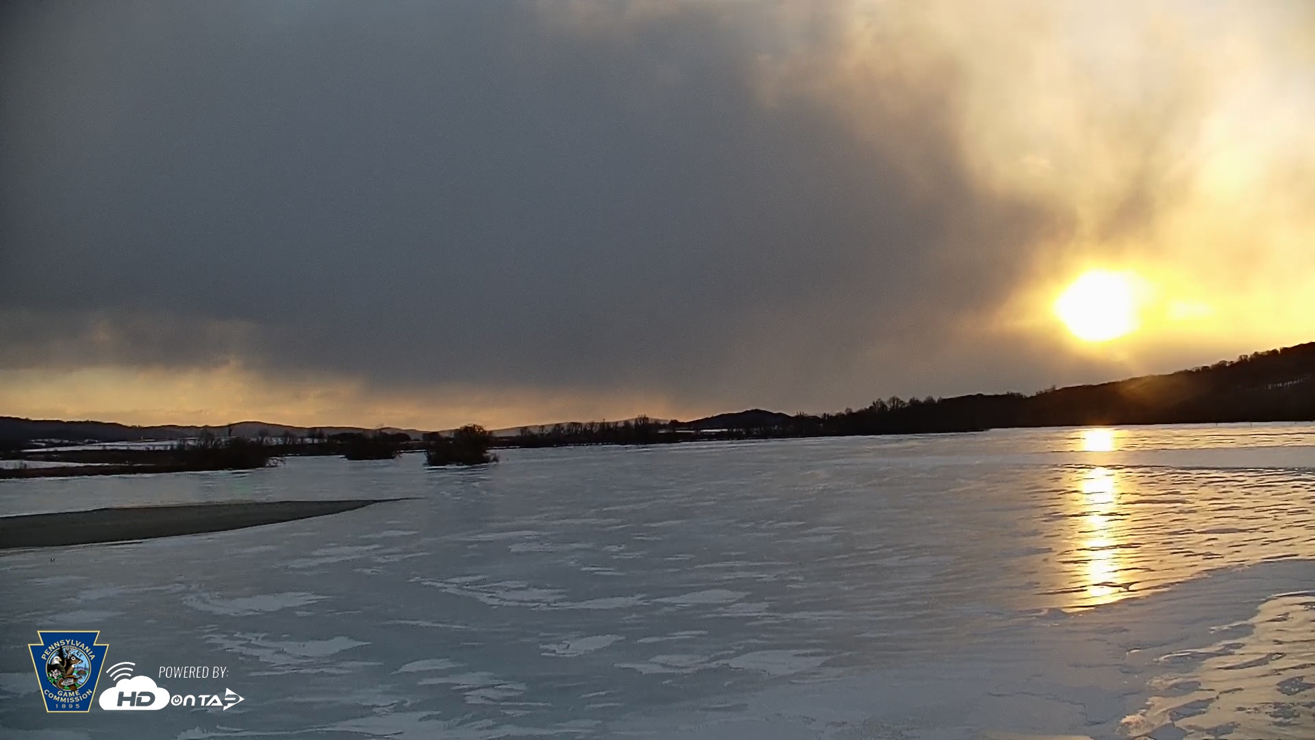 Snapshot of Pennsylvania Snow Geese Live Webcam taken Feb 7, 2026, 7:37am EST