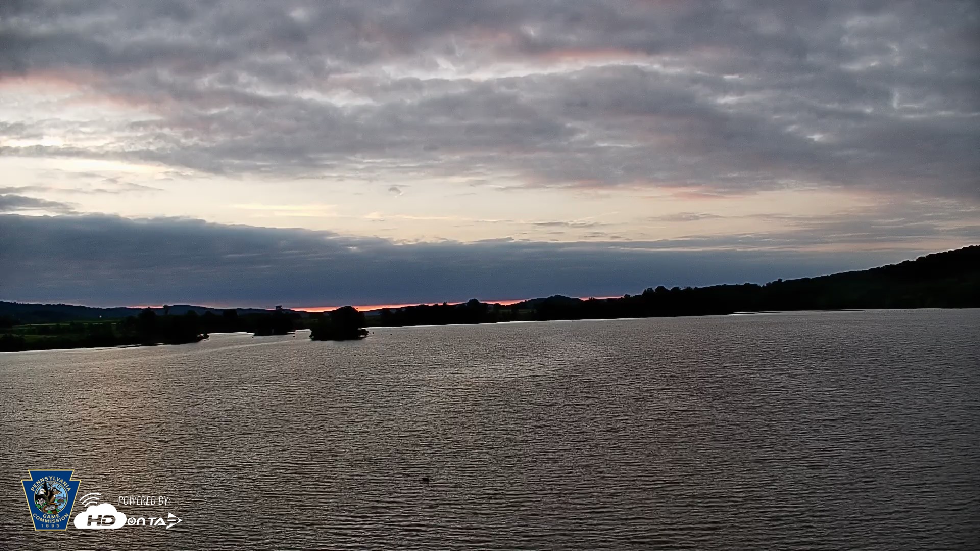 Snapshot of Pennsylvania Snow Geese Live Webcam taken Jun 9, 2026, 5:43am EDT