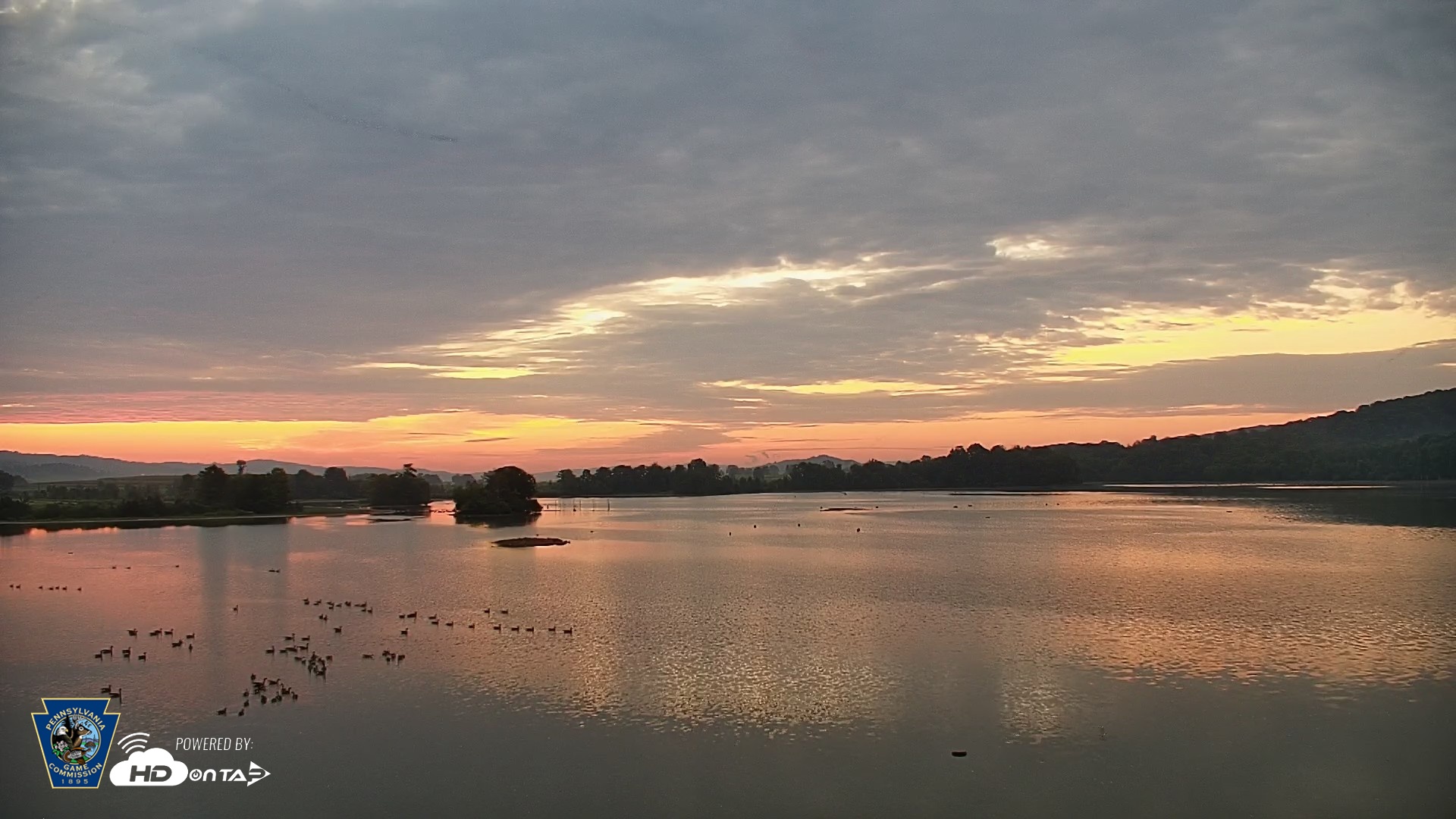Snapshot of Pennsylvania Snow Geese Live Webcam taken Aug 20, 2026, 6:12am EDT