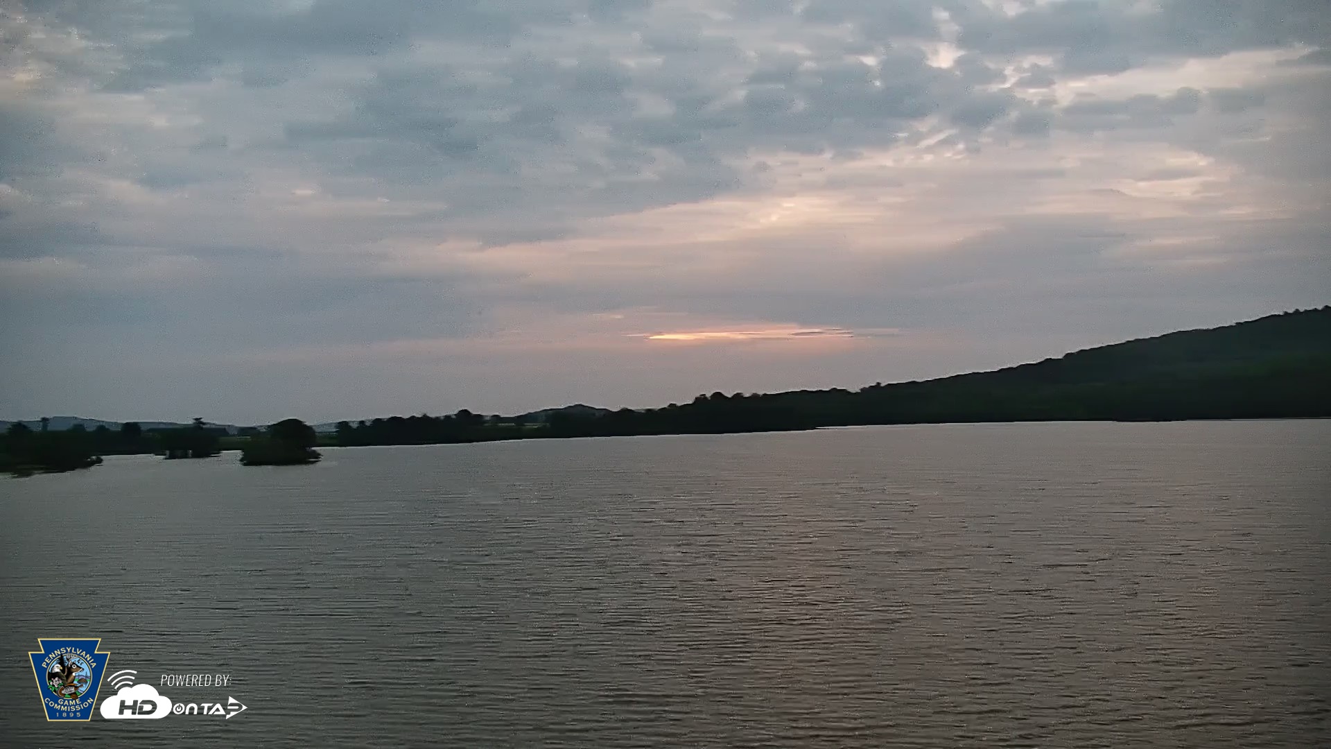 Snapshot of Pennsylvania Snow Geese Live Webcam taken Jun 10, 2026, 5:21am EDT