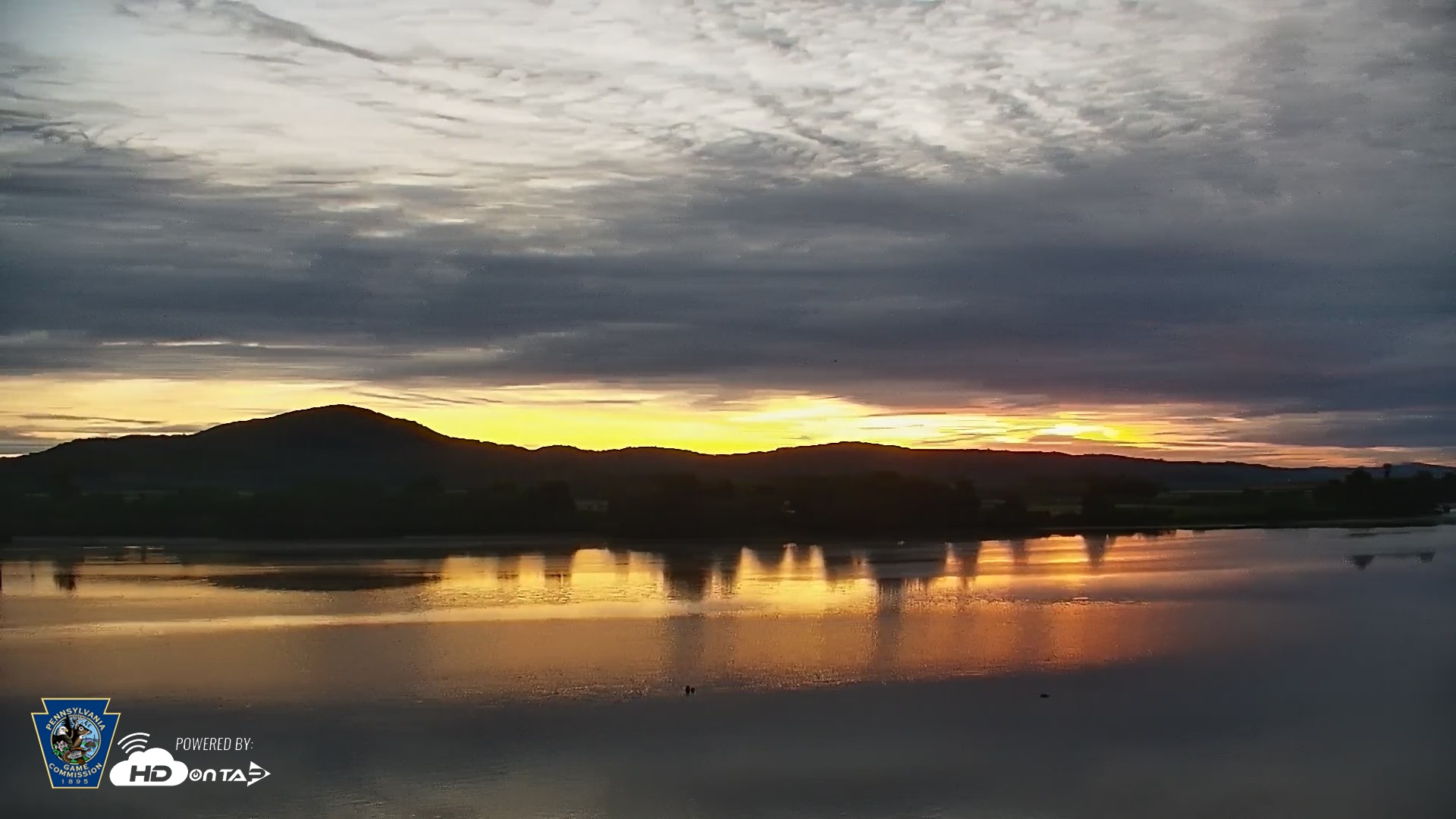 Snapshot of Pennsylvania Snow Geese Live Webcam taken May 22, 2026, 5:43am EDT