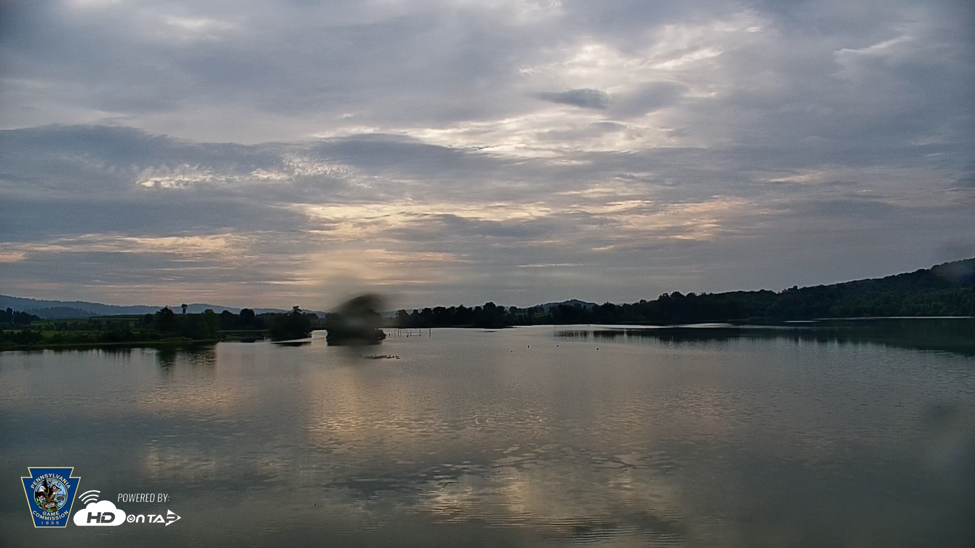 Snapshot of Pennsylvania Snow Geese Live Webcam taken Aug 31, 2026, 8:57am EDT