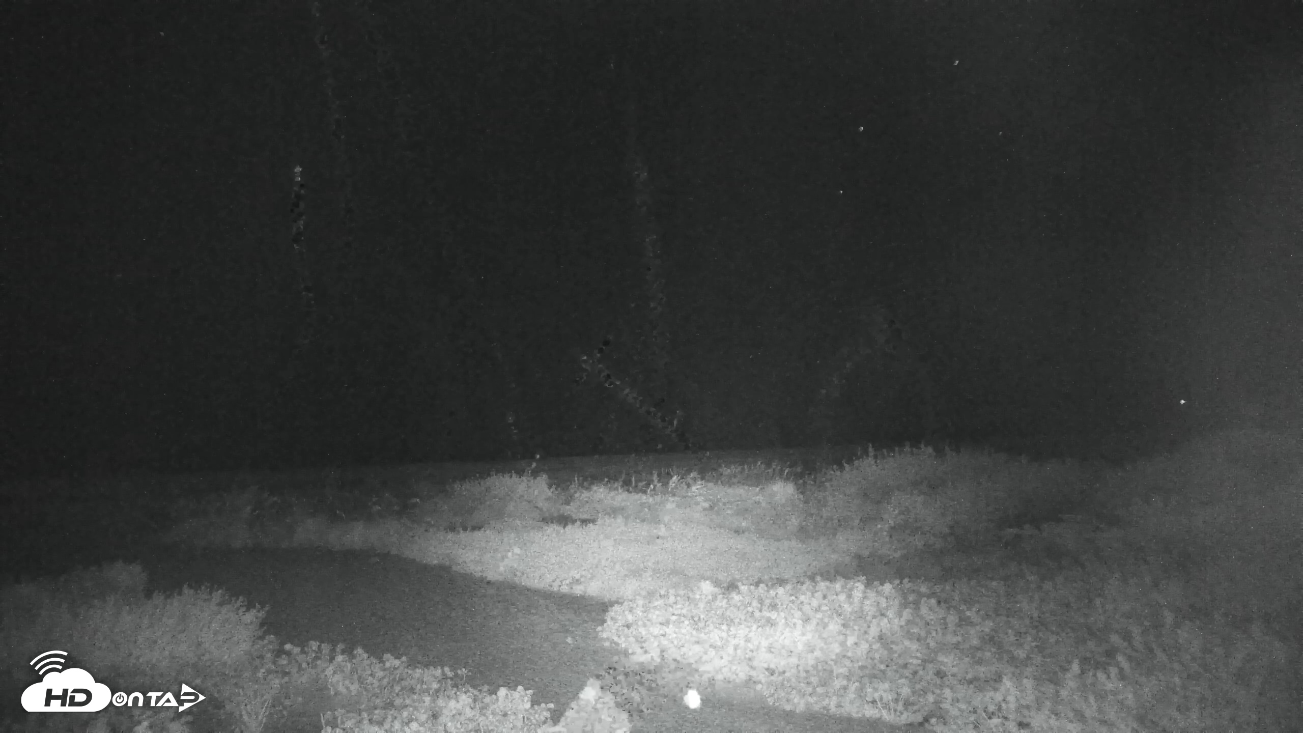 Snapshot of Sanibel Island Florida Live Beach Webcam taken Aug 14, 2026, 1:57am EDT