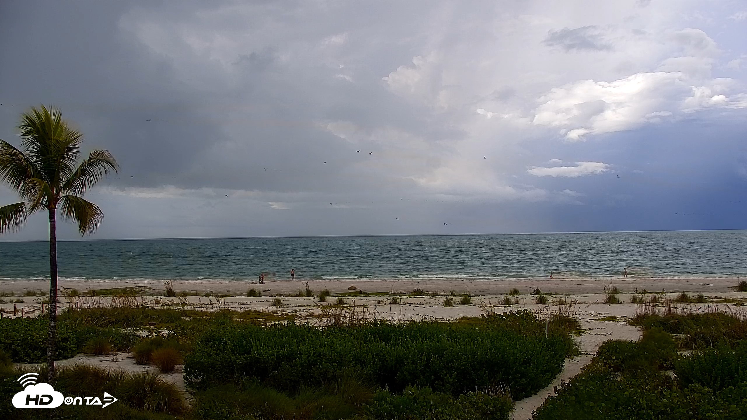 Snapshot of Sanibel Island Florida Live Beach Webcam taken Sep 3, 2026, 8:49am EDT
