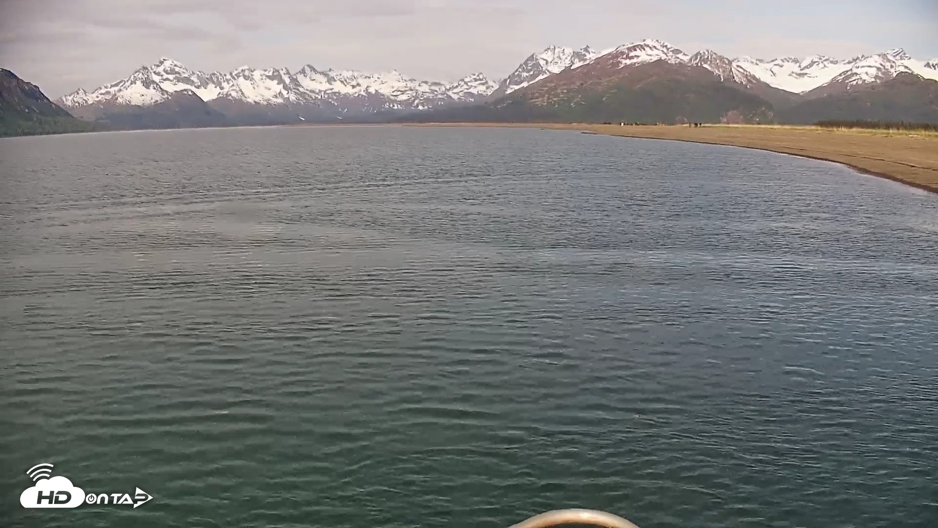 Snapshot of Cook Inlet Alaska Bear Viewing Live Cam taken Jun 8, 2026, 9:01am AKDT