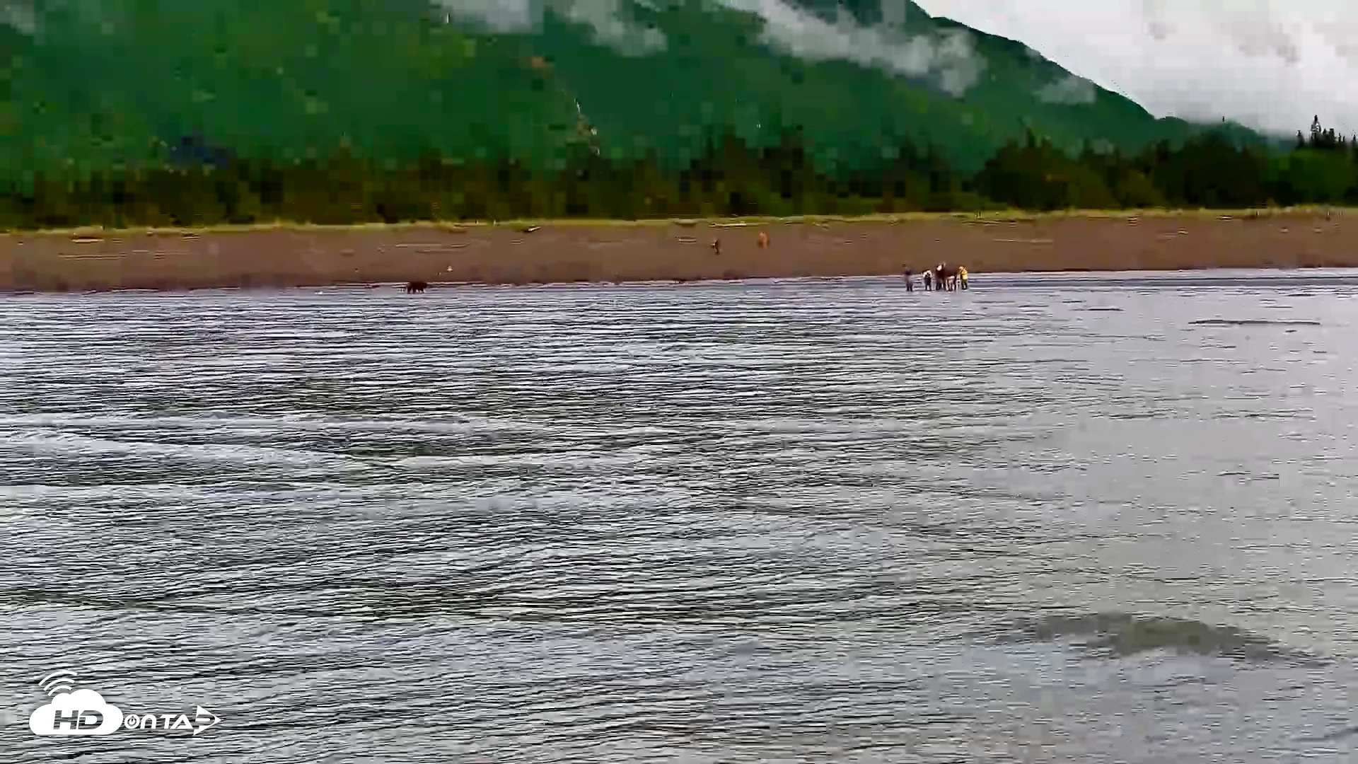 Snapshot of Cook Inlet Alaska Bear Viewing Live Cam taken Jun 24, 2026, 8:40am AKDT