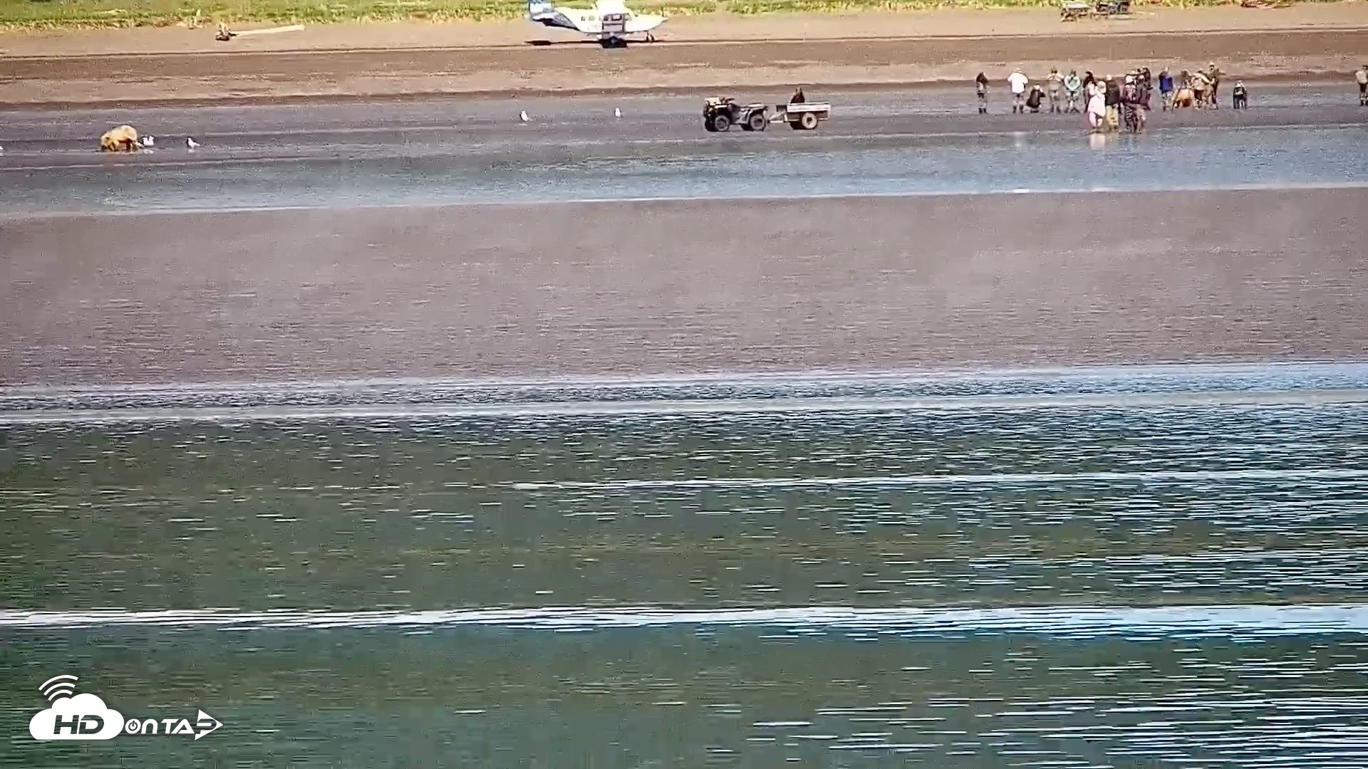 Snapshot of Cook Inlet Alaska Bear Viewing Live Cam taken Jul 1, 2026, 11:33am AKDT