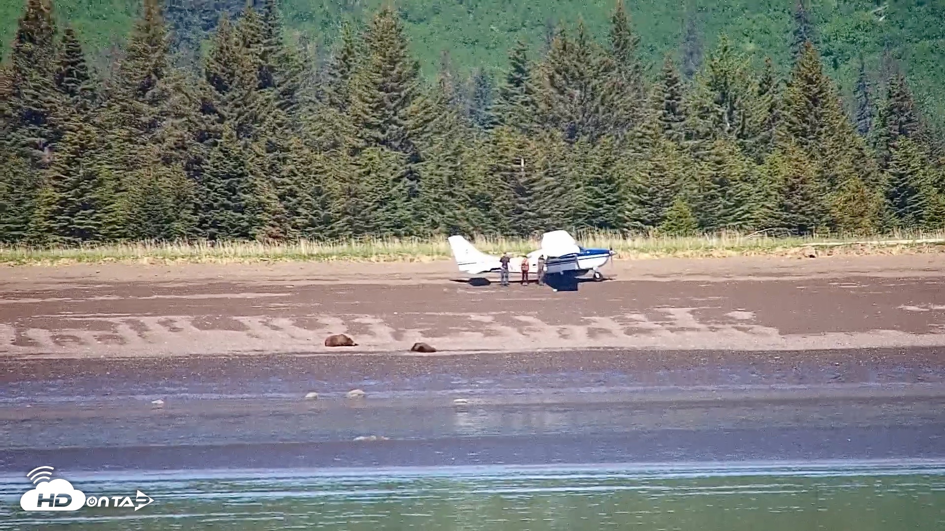 Snapshot of Cook Inlet Alaska Bear Viewing Live Cam taken Jun 18, 2026, 11:49am AKDT
