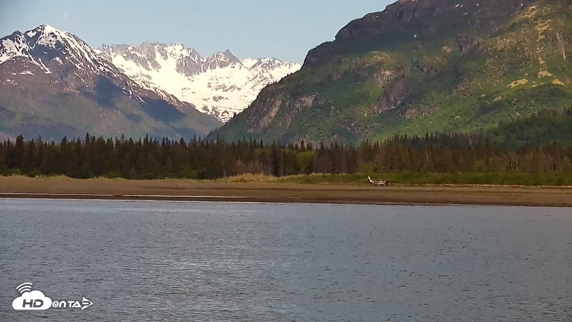 Snapshot of Cook Inlet Alaska Bear Viewing Live Cam taken Jun 12, 2026, 11:37am AKDT