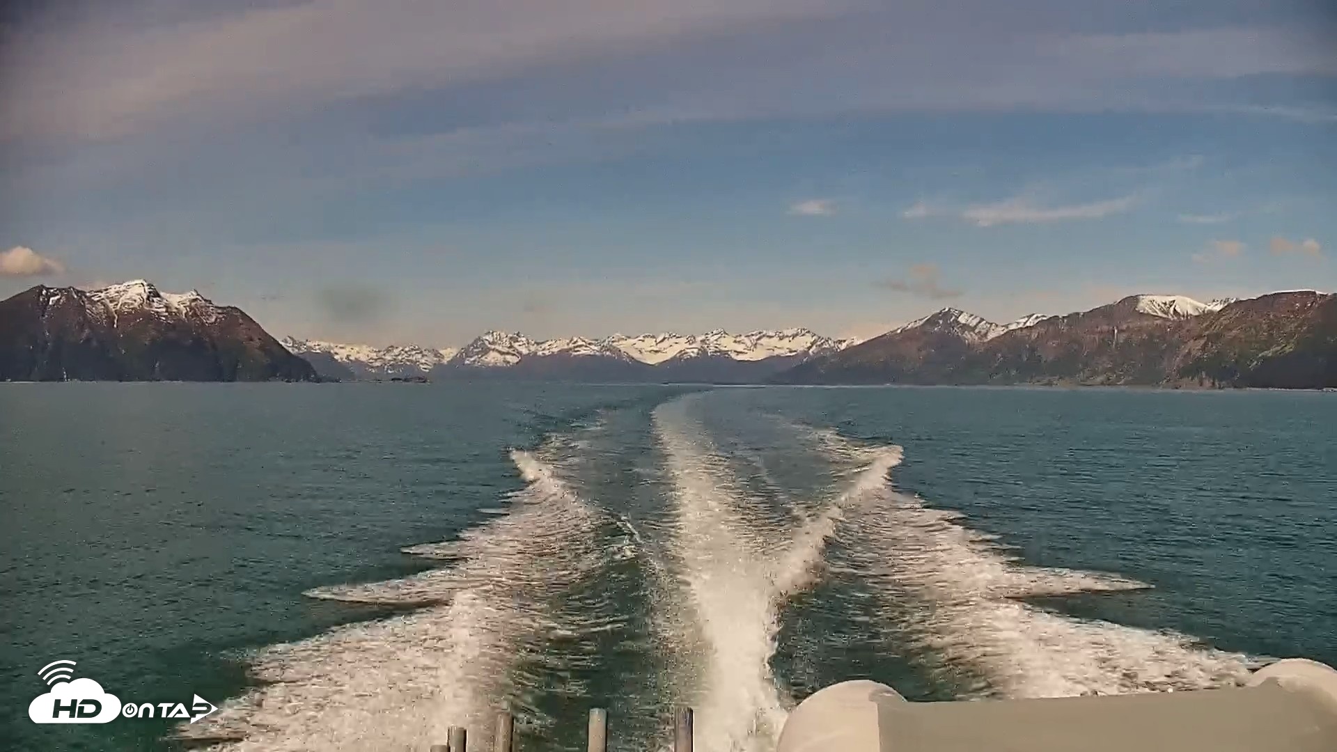 Snapshot of Cook Inlet Alaska Bear Viewing Live Cam taken Jun 8, 2026, 11:33am AKDT