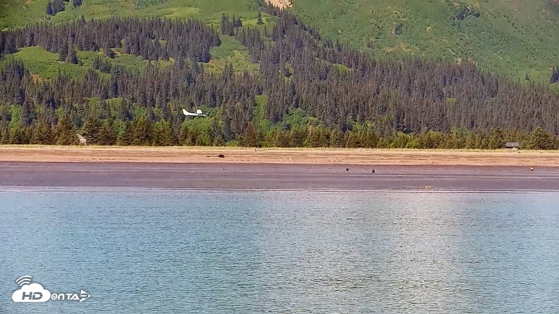 Snapshot of Cook Inlet Alaska Bear Viewing Live Cam taken Jun 18, 2026, 1:08pm AKDT