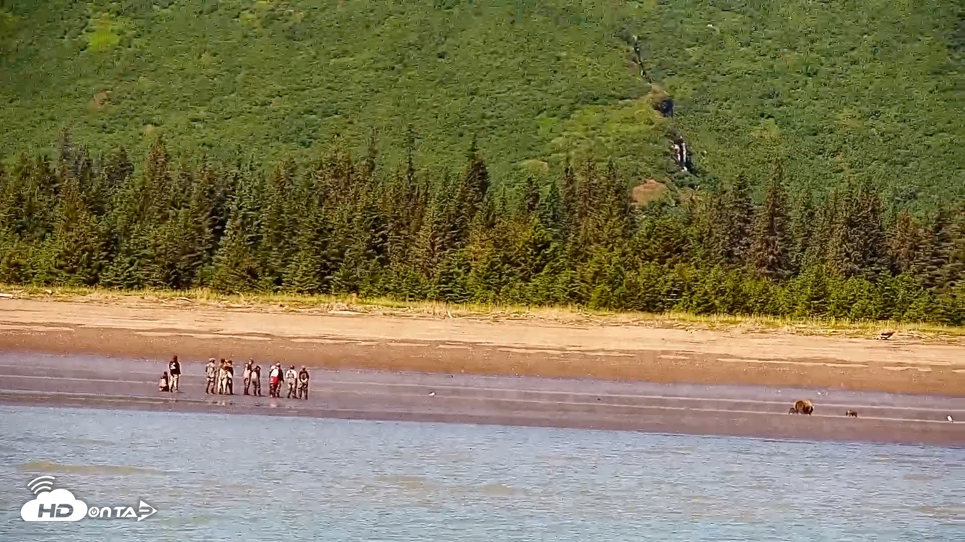 Snapshot of Cook Inlet Alaska Bear Viewing Live Cam taken Jul 6, 2026, 1:28pm AKDT