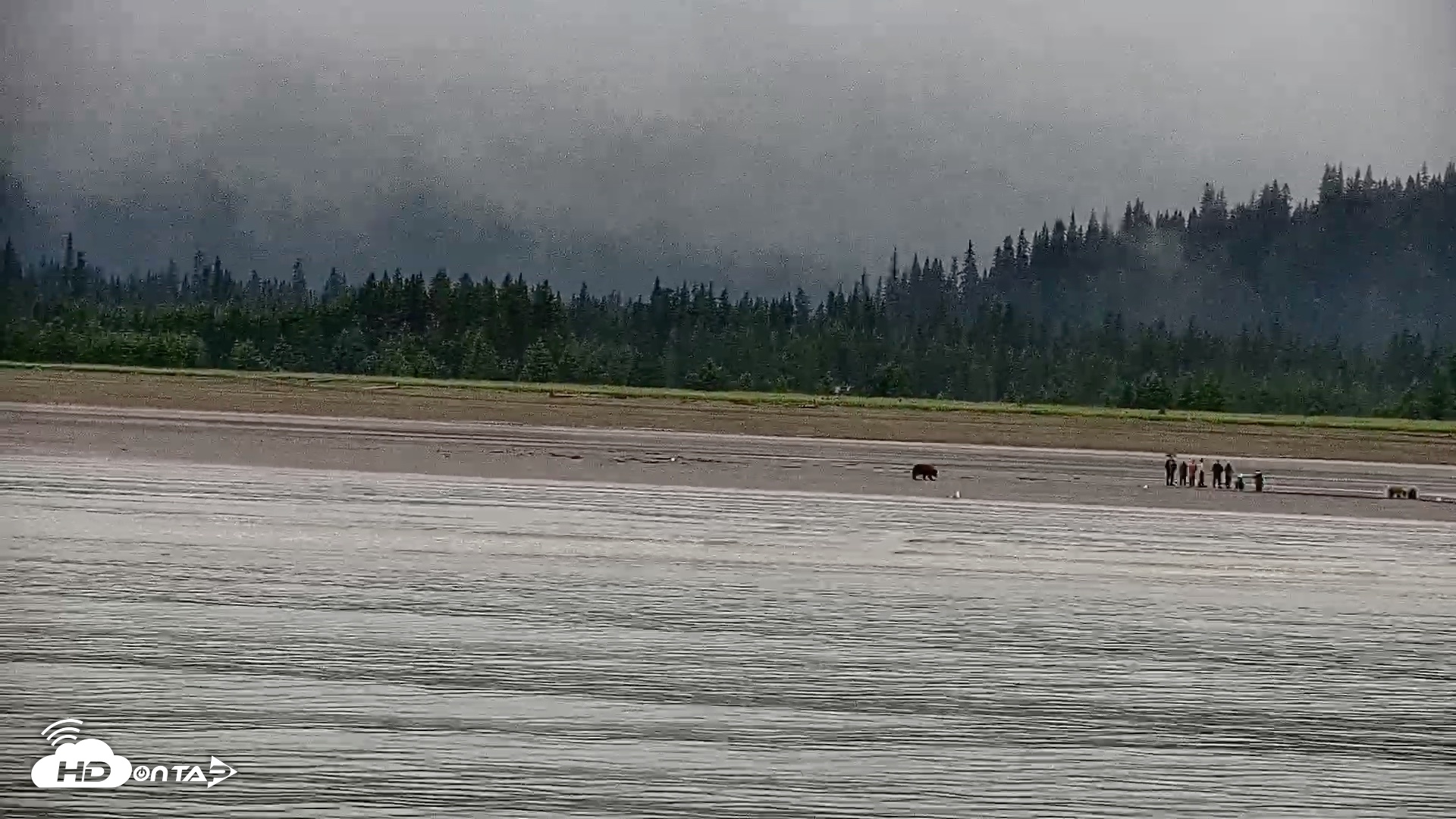 Snapshot of Cook Inlet Alaska Bear Viewing Live Cam taken Jul 18, 2026, 11:47am AKDT