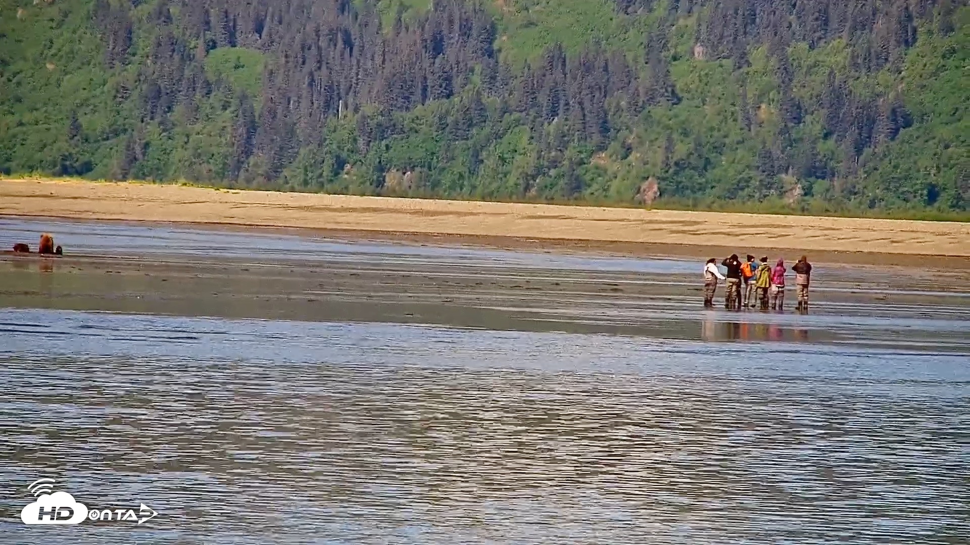Snapshot of Cook Inlet Alaska Bear Viewing Live Cam taken Jun 12, 2026, 11:05am AKDT