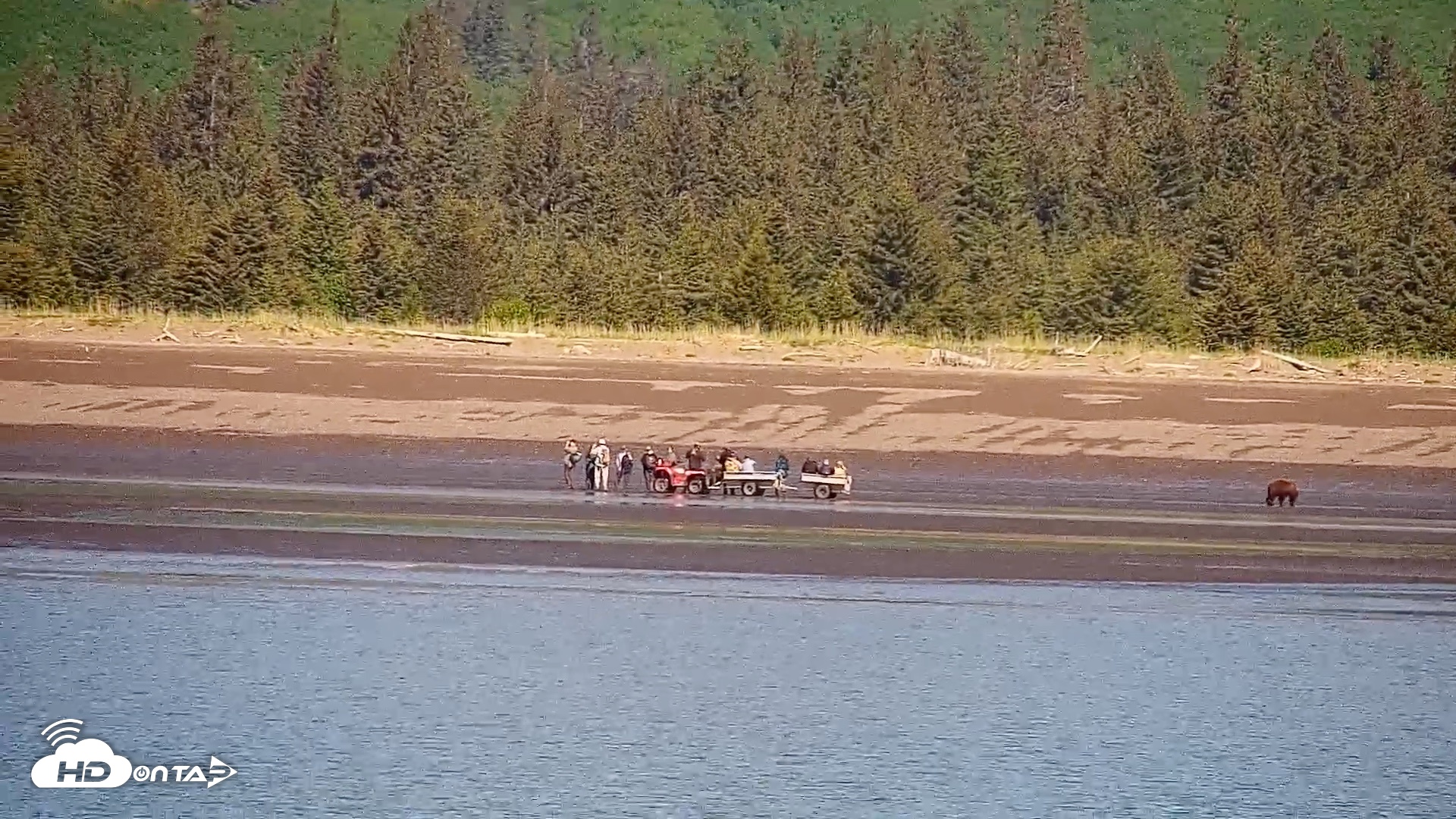 Snapshot of Cook Inlet Alaska Bear Viewing Live Cam taken Jun 18, 2026, 10:45am AKDT