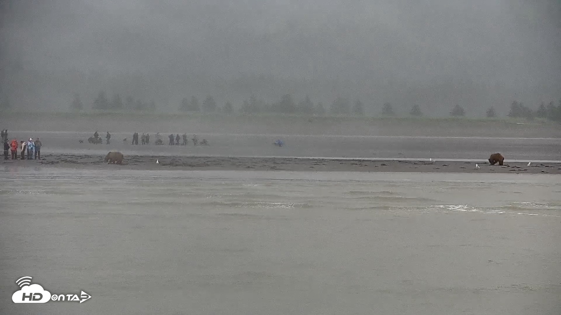 Snapshot of Cook Inlet Alaska Bear Viewing Live Cam taken Jul 12, 2026, 10:27am AKDT