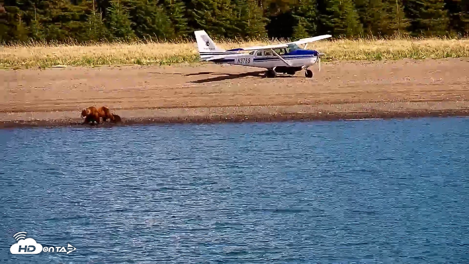 Snapshot of Cook Inlet Alaska Bear Viewing Live Cam taken Jun 8, 2026, 9:58am AKDT