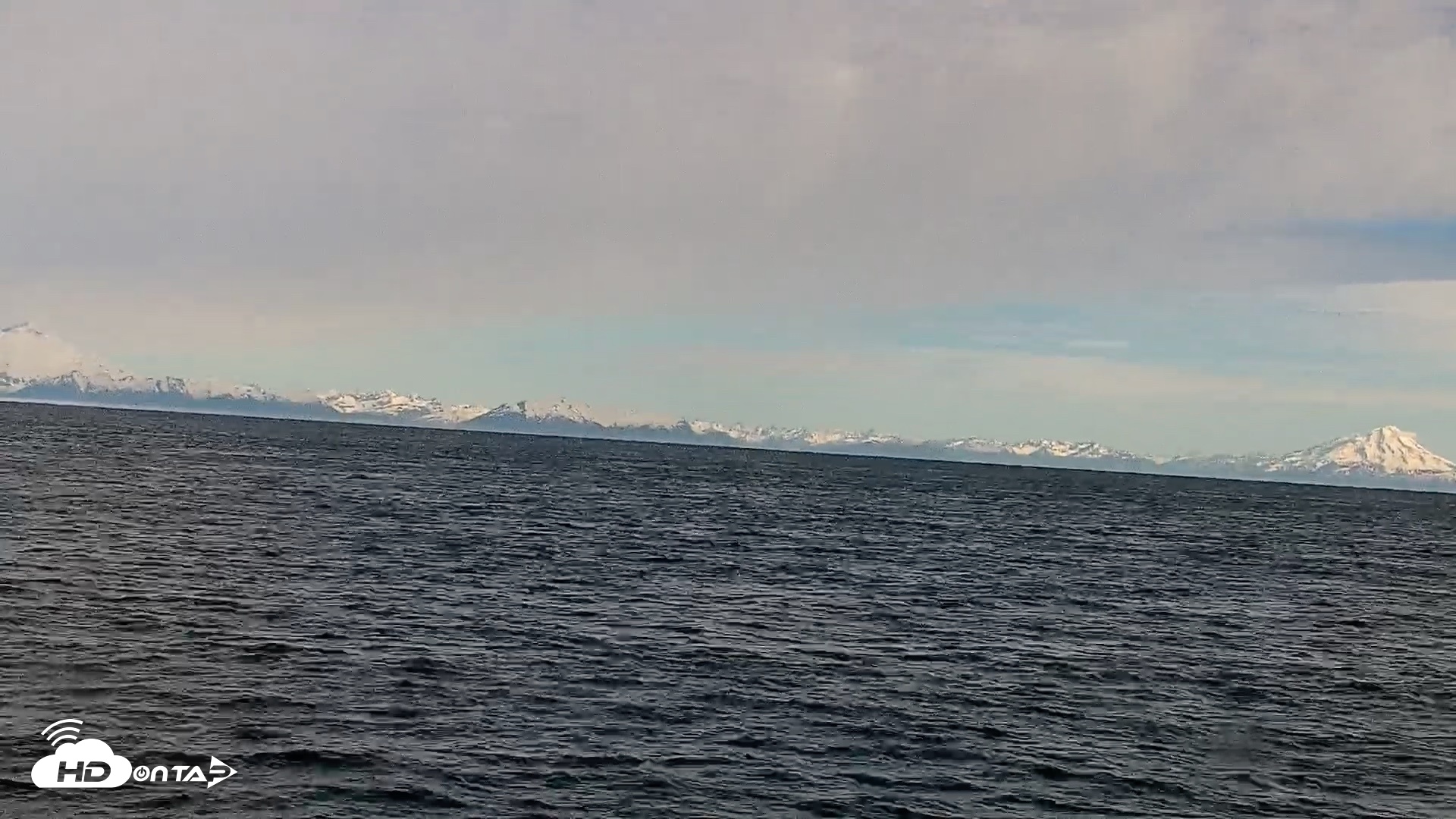 Snapshot of Cook Inlet Alaska Bear Viewing Live Cam taken Jun 16, 2026, 8:33am AKDT