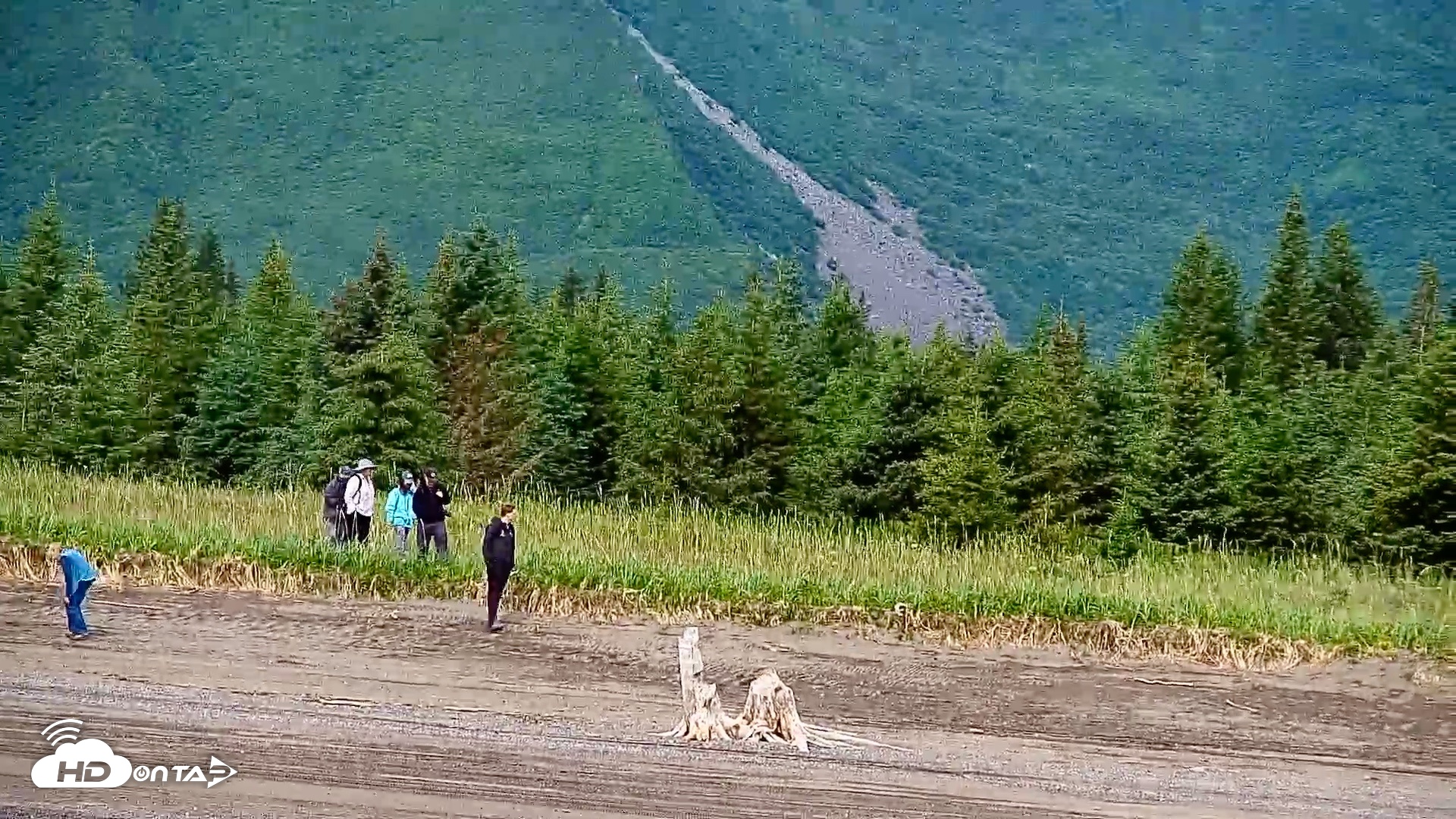 Snapshot of Cook Inlet Alaska Bear Viewing Live Cam taken Jul 9, 2026, 12:08pm AKDT