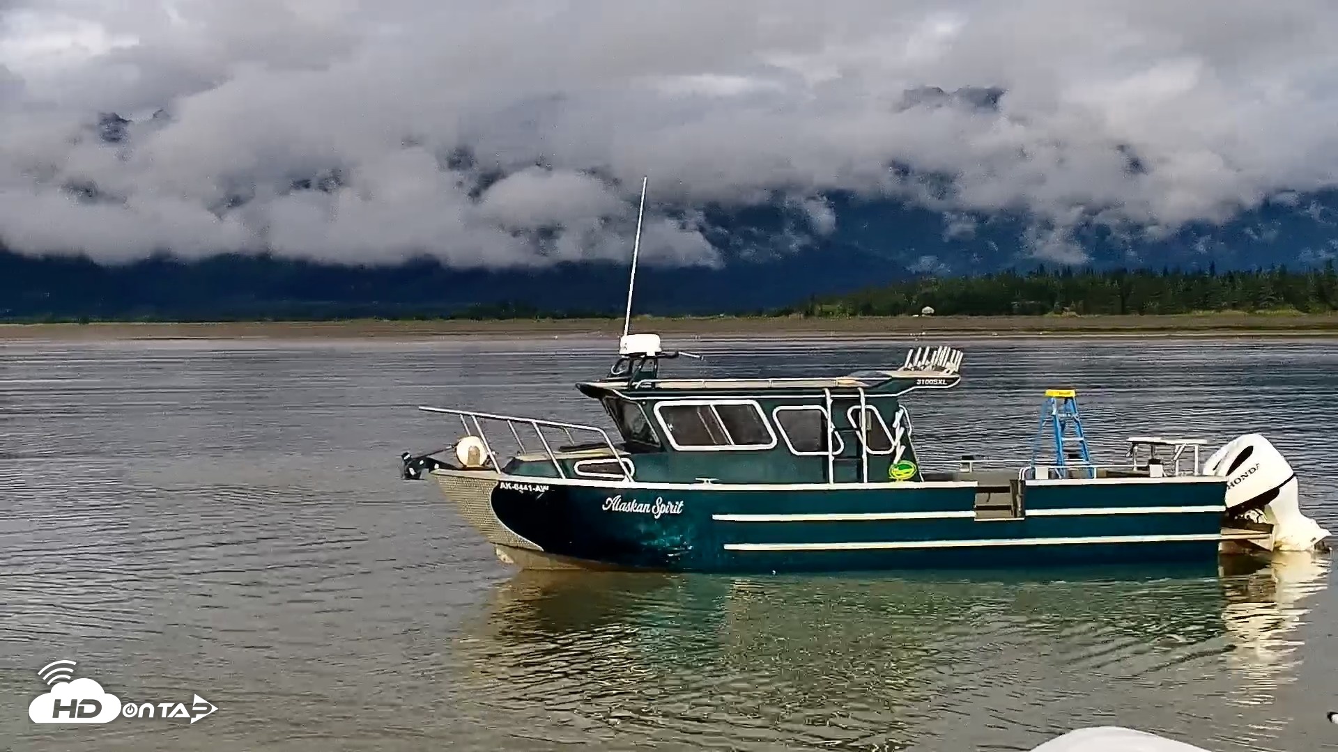 Snapshot of Cook Inlet Alaska Bear Viewing Live Cam taken Aug 21, 2026, 10:41am AKDT
