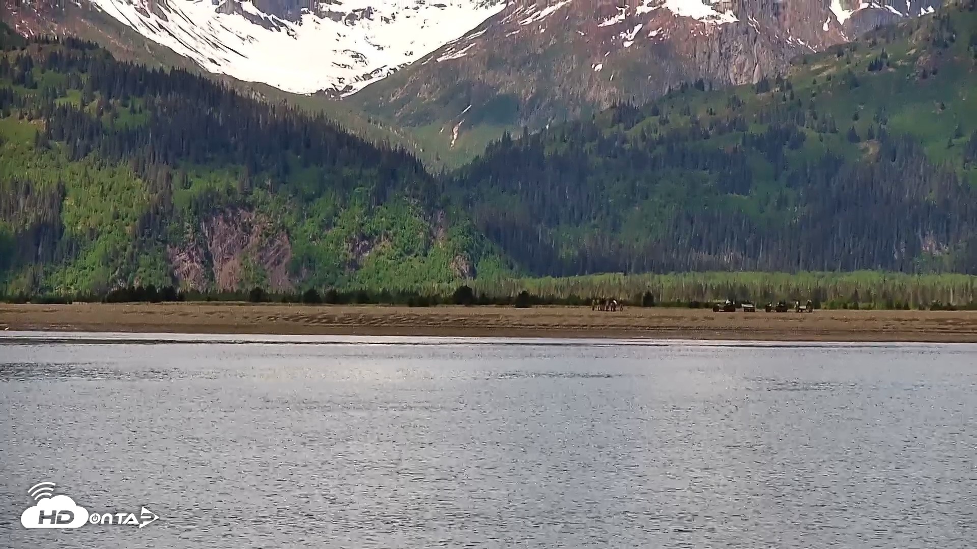 Snapshot of Cook Inlet Alaska Bear Viewing Live Cam taken Jun 12, 2026, 11:35am AKDT