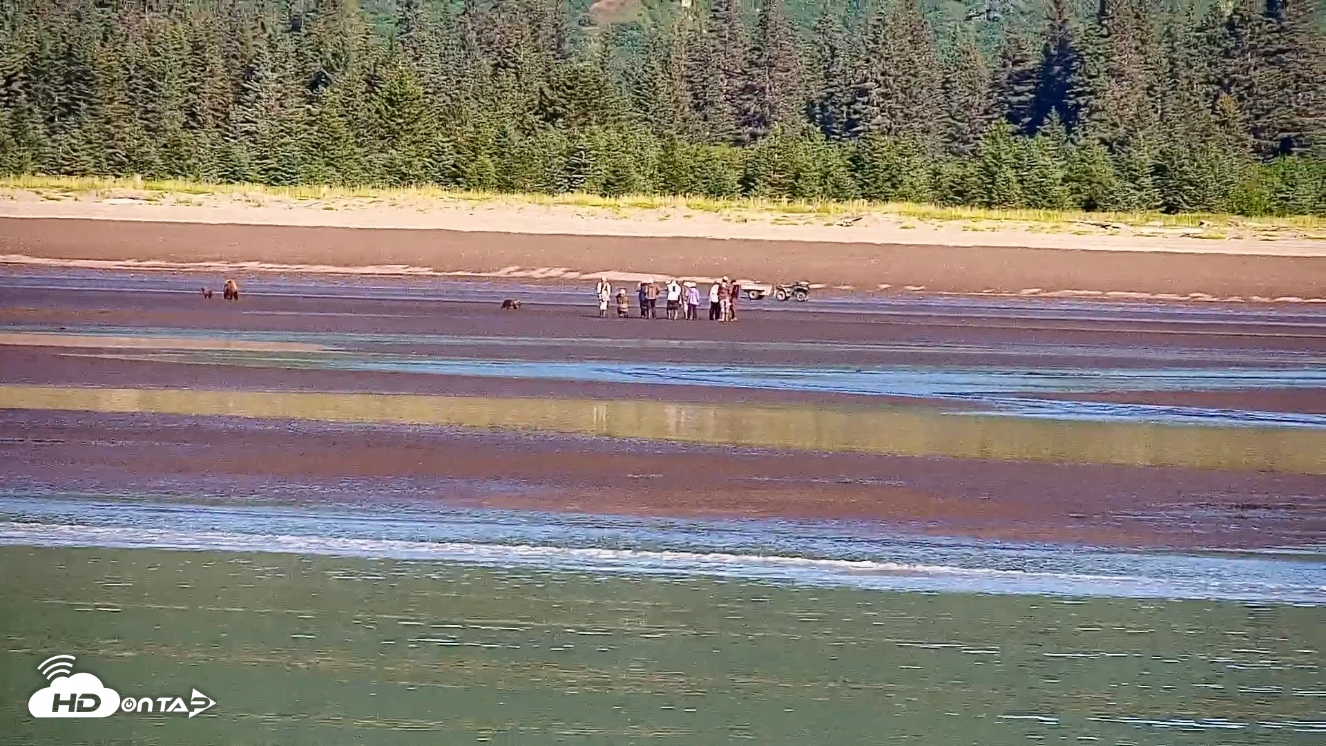 Snapshot of Cook Inlet Alaska Bear Viewing Live Cam taken Jul 31, 2026, 10:13am AKDT