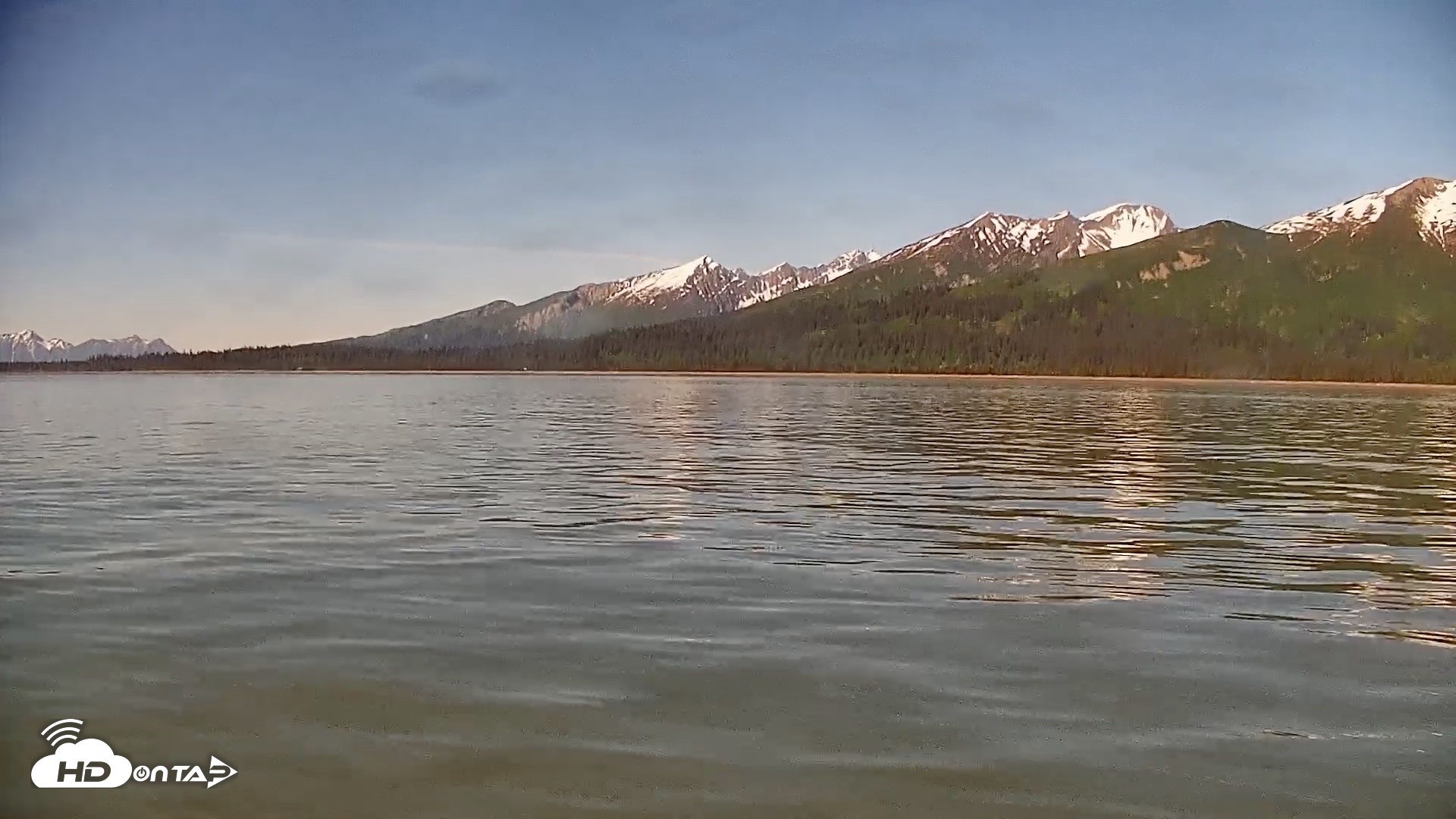Snapshot of Cook Inlet Alaska Bear Viewing Live Cam taken Jun 19, 2026, 10:24am AKDT