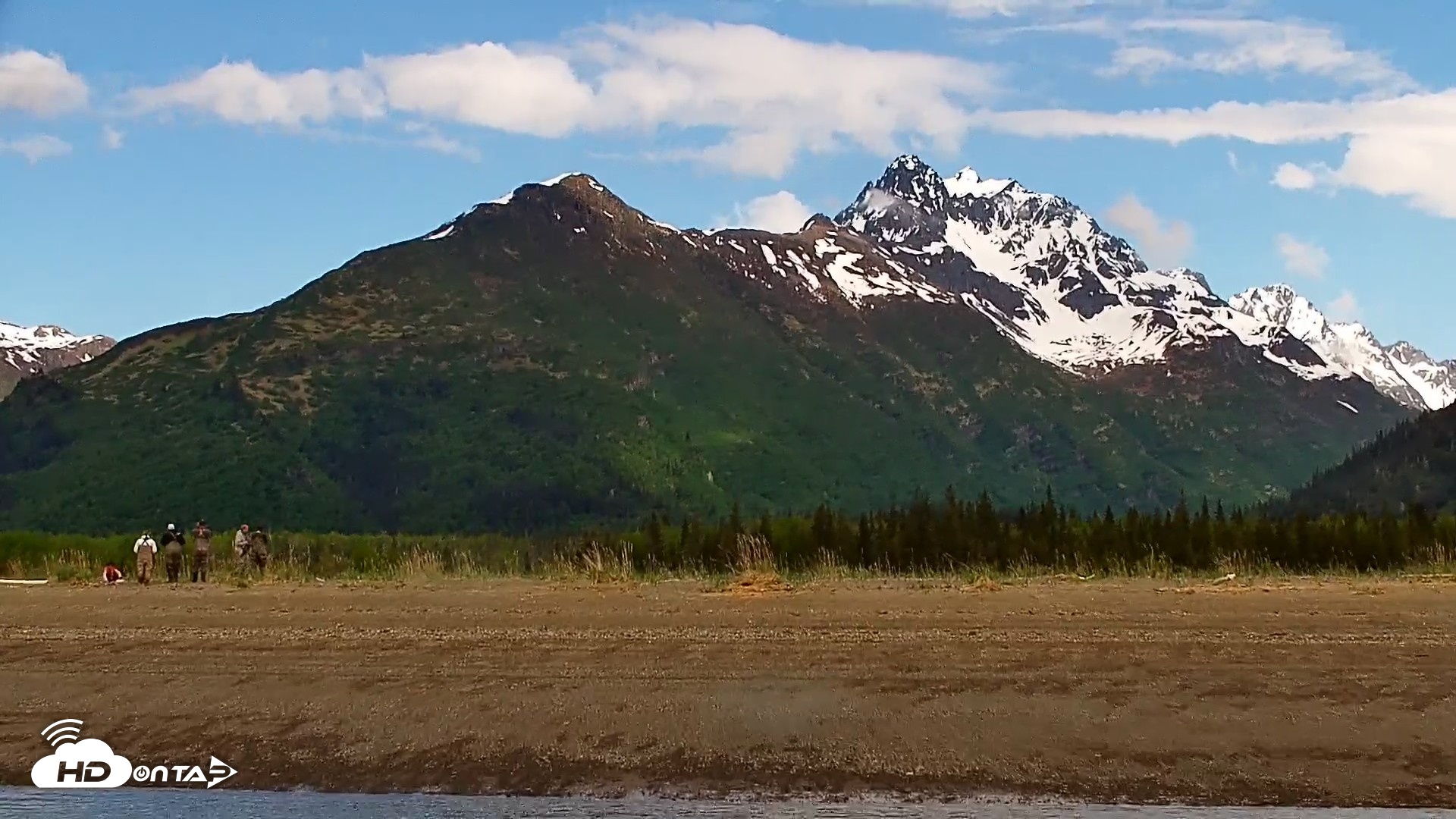 Snapshot of Cook Inlet Alaska Bear Viewing Live Cam taken Jun 12, 2026, 11:53am AKDT