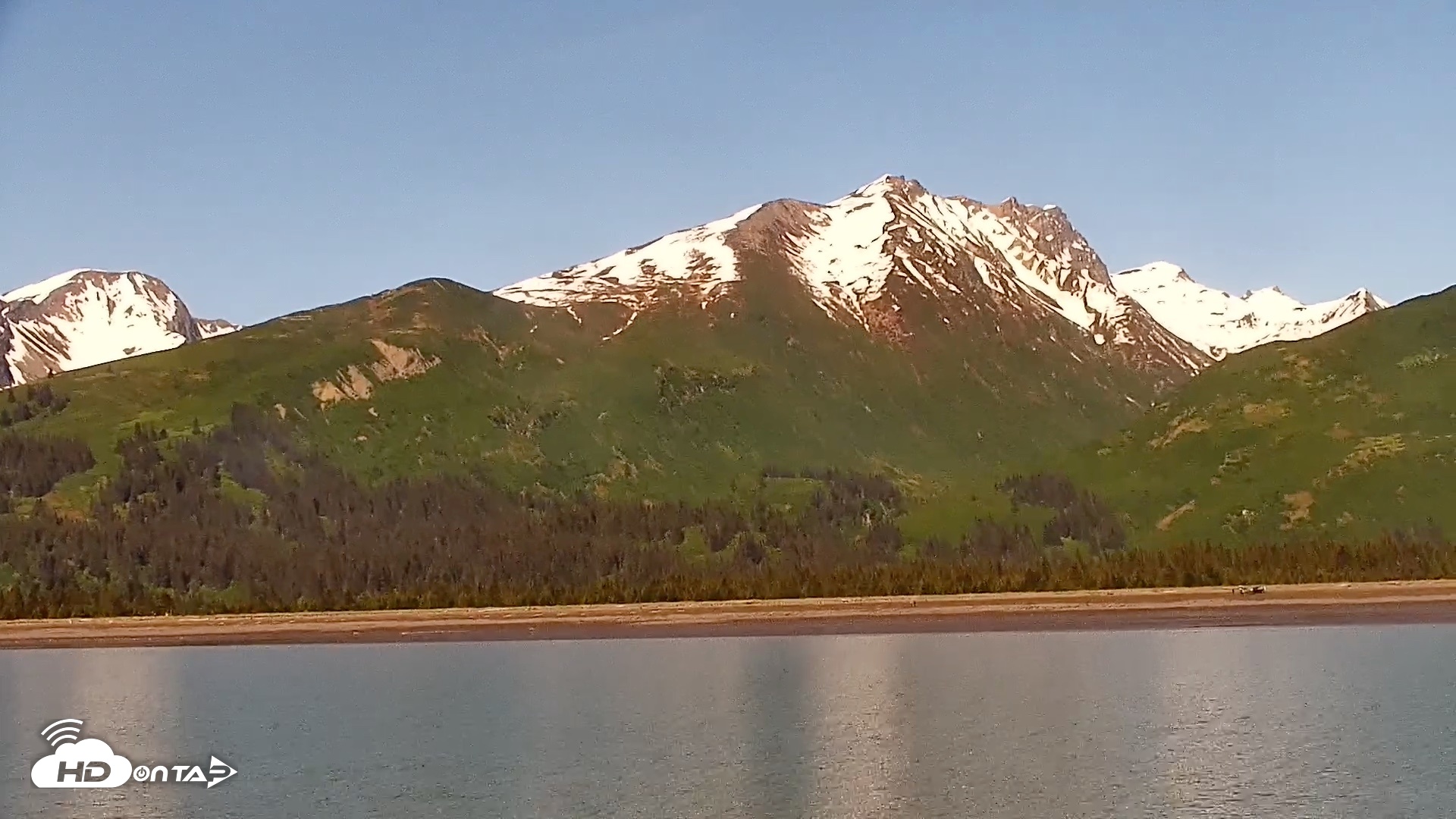 Snapshot of Cook Inlet Alaska Bear Viewing Live Cam taken Jun 18, 2026, 11:40am AKDT