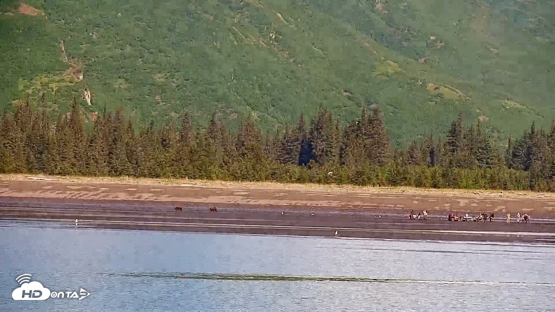 Snapshot of Cook Inlet Alaska Bear Viewing Live Cam taken Jun 18, 2026, 10:41am AKDT