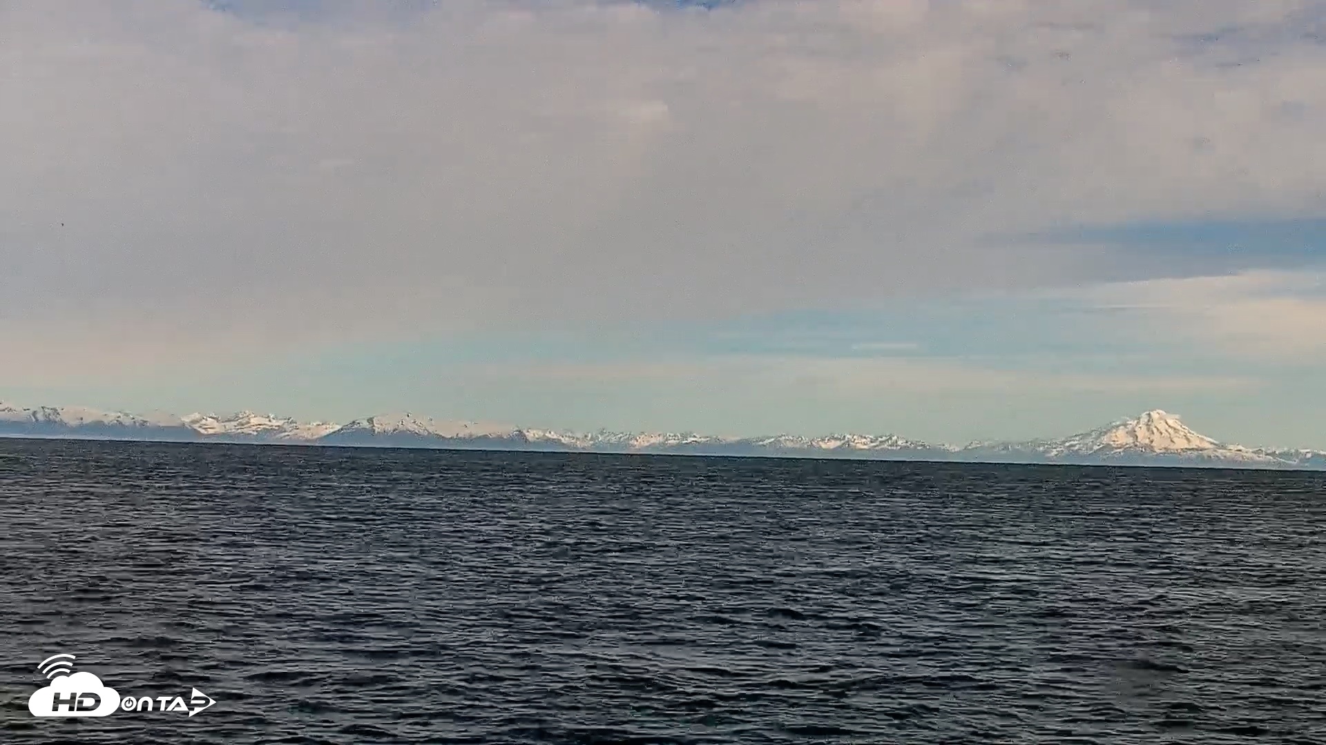 Snapshot of Cook Inlet Alaska Bear Viewing Live Cam taken Jun 16, 2026, 8:34am AKDT