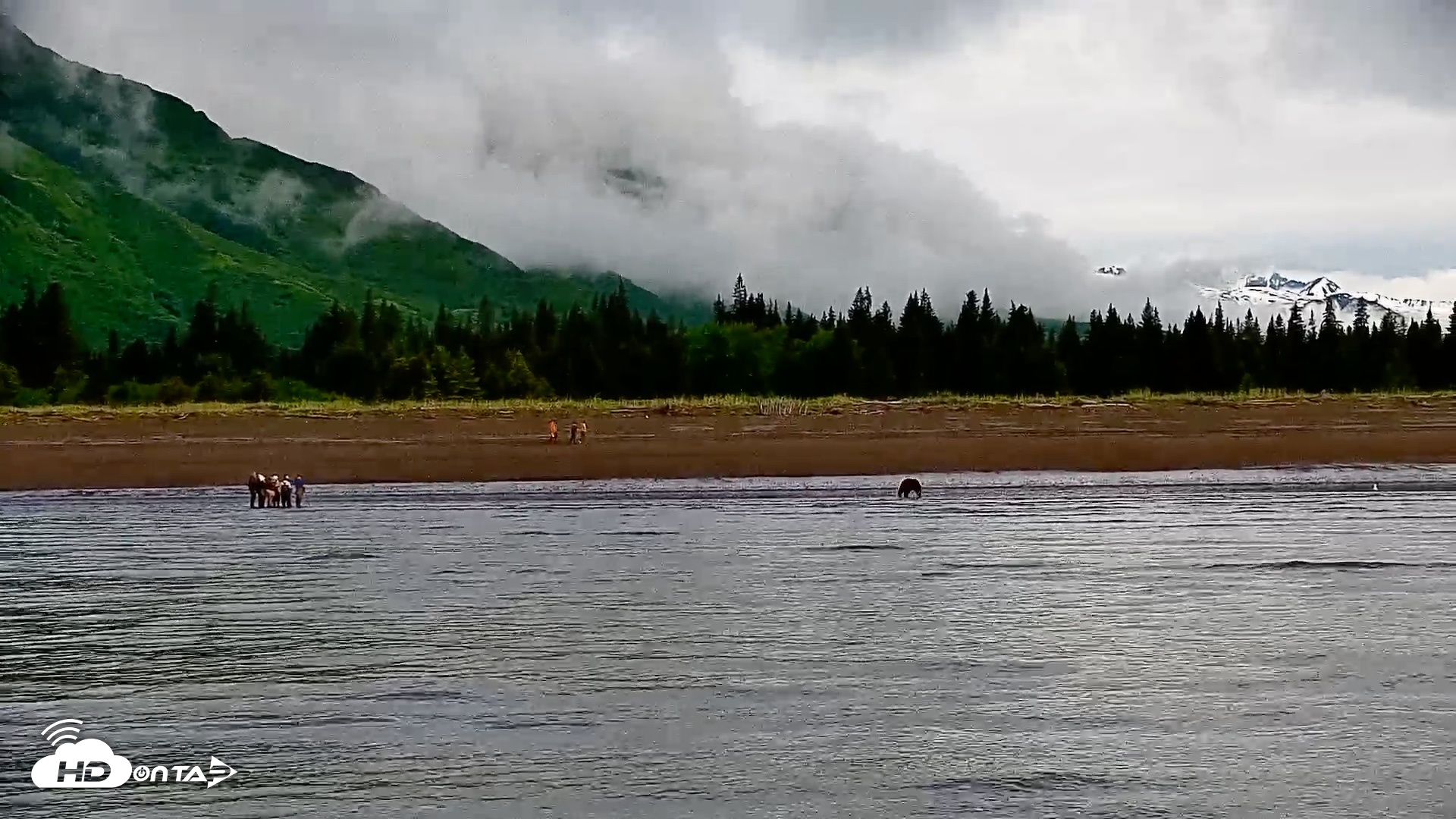 Snapshot of Cook Inlet Alaska Bear Viewing Live Cam taken Jun 24, 2026, 8:42am AKDT