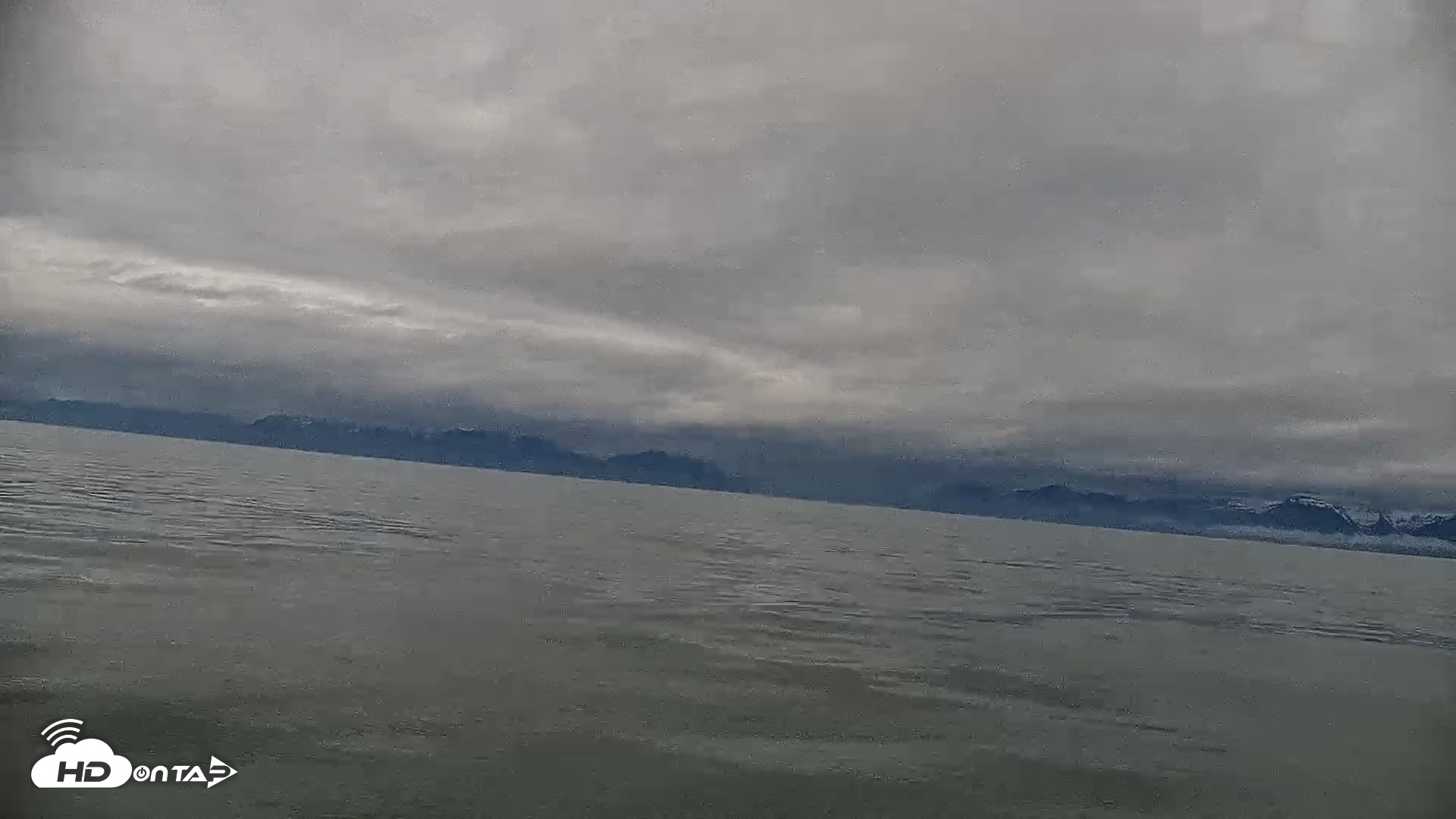 Snapshot of Cook Inlet Alaska Bear Viewing Live Cam taken Jun 15, 2026, 9:08am AKDT