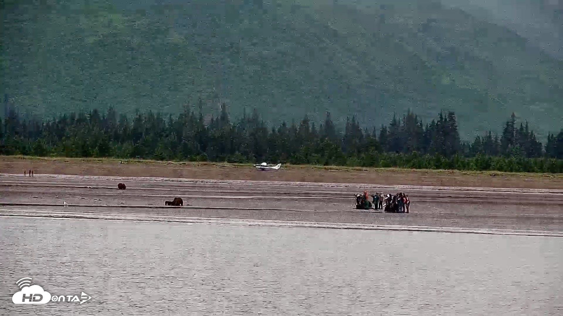 Snapshot of Cook Inlet Alaska Bear Viewing Live Cam taken Jul 16, 2026, 10:28am AKDT