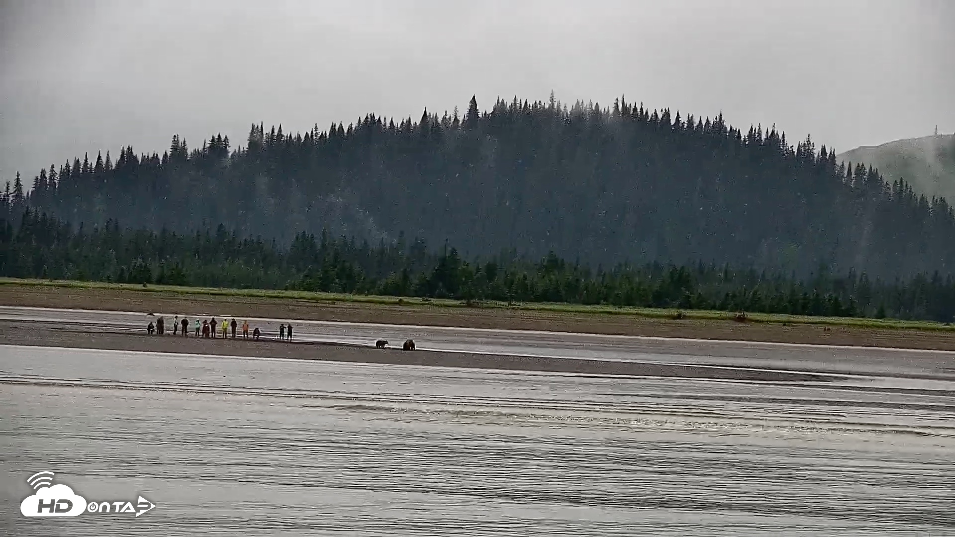 Snapshot of Cook Inlet Alaska Bear Viewing Live Cam taken Jul 18, 2026, 11:57am AKDT