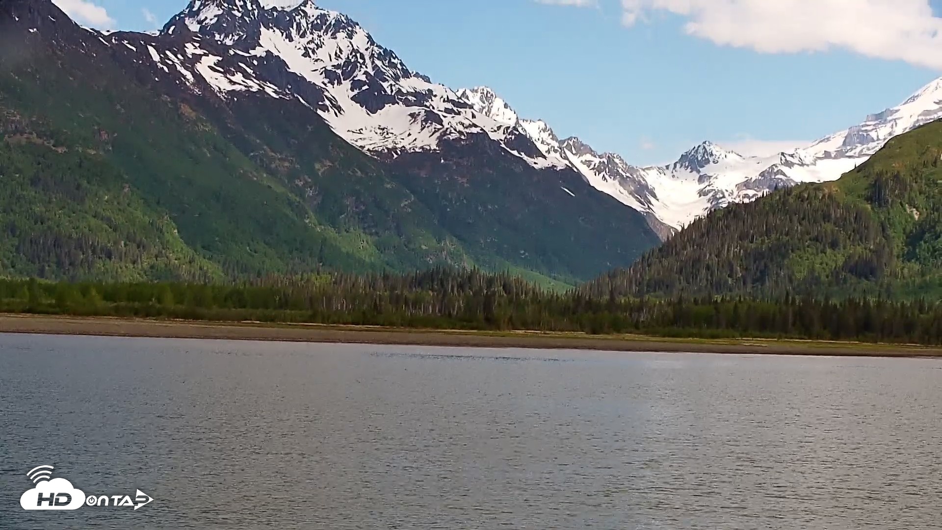 Snapshot of Cook Inlet Alaska Bear Viewing Live Cam taken Jun 12, 2026, 11:32am AKDT