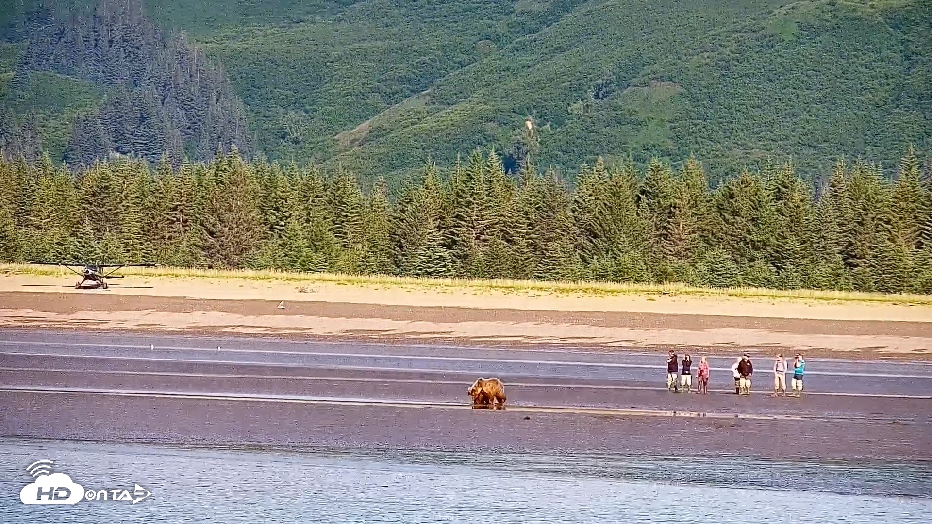 Snapshot of Cook Inlet Alaska Bear Viewing Live Cam taken Jul 30, 2026, 10:05am AKDT