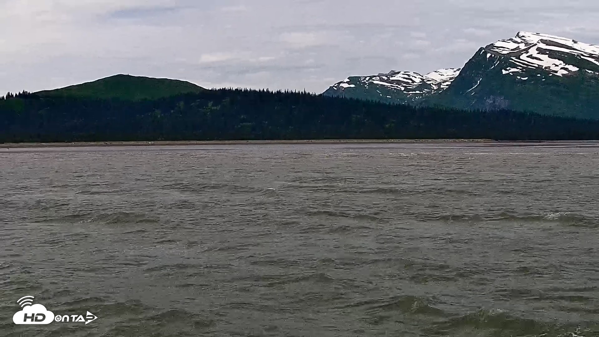 Snapshot of Cook Inlet Alaska Bear Viewing Live Cam taken Jul 3, 2026, 12:20pm AKDT