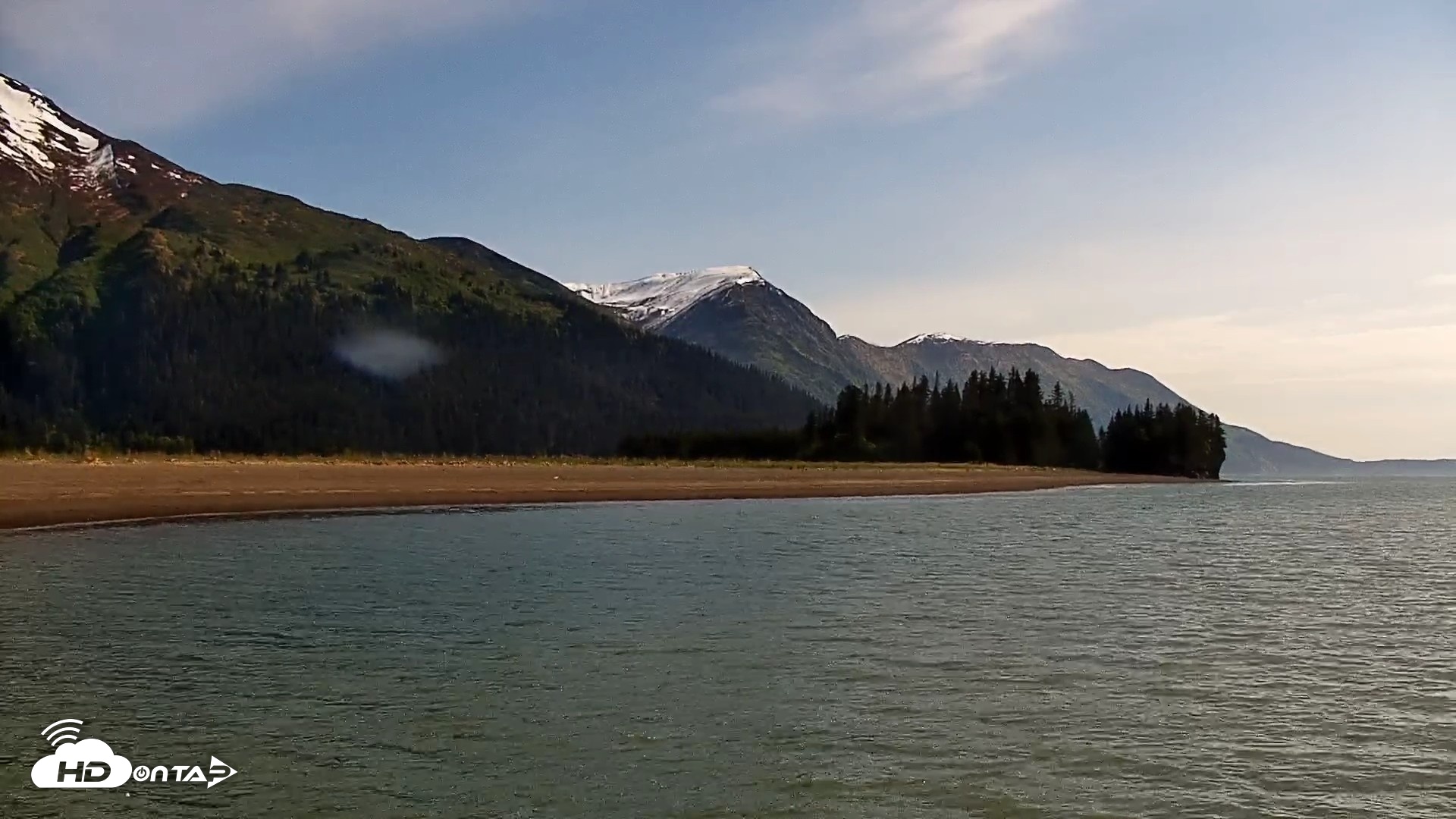 Snapshot of Cook Inlet Alaska Bear Viewing Live Cam taken Jun 8, 2026, 10:29am AKDT