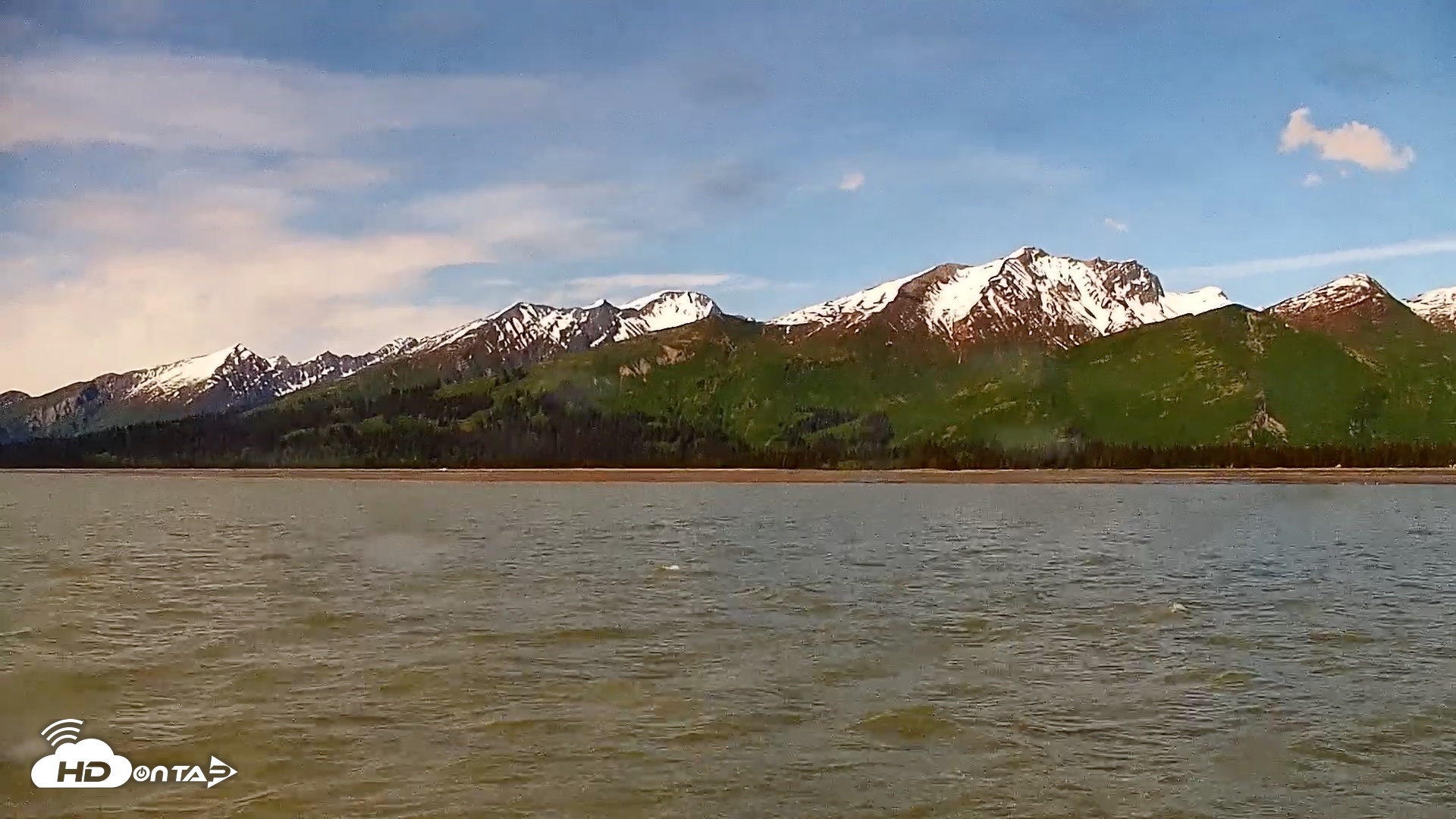 Snapshot of Cook Inlet Alaska Bear Viewing Live Cam taken Jun 16, 2026, 11:42am AKDT