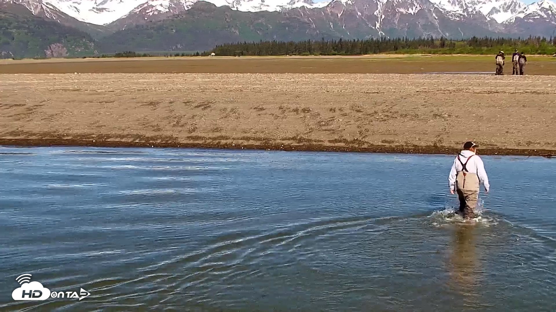 Snapshot of Cook Inlet Alaska Bear Viewing Live Cam taken Jun 10, 2026, 10:08am AKDT