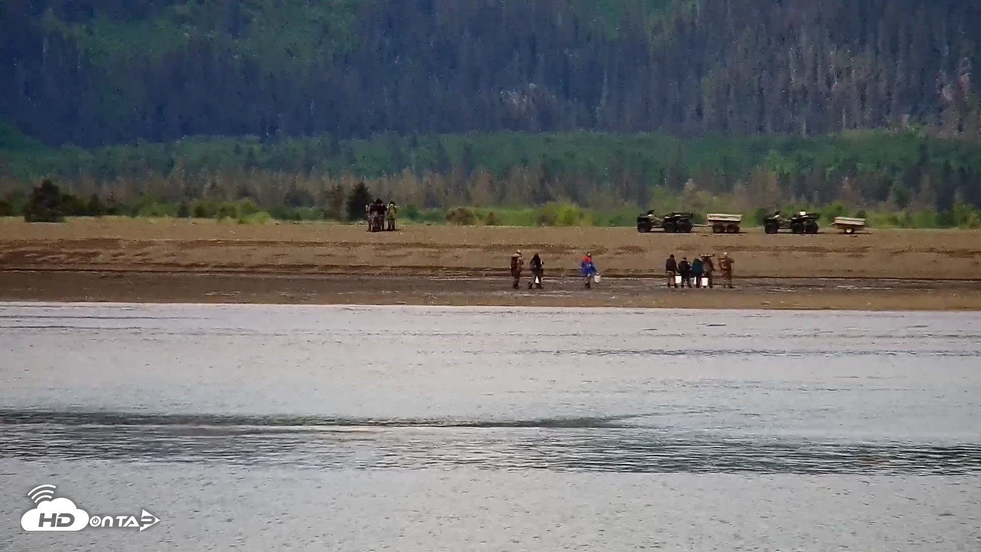 Snapshot of Cook Inlet Alaska Bear Viewing Live Cam taken Jun 12, 2026, 11:29am AKDT
