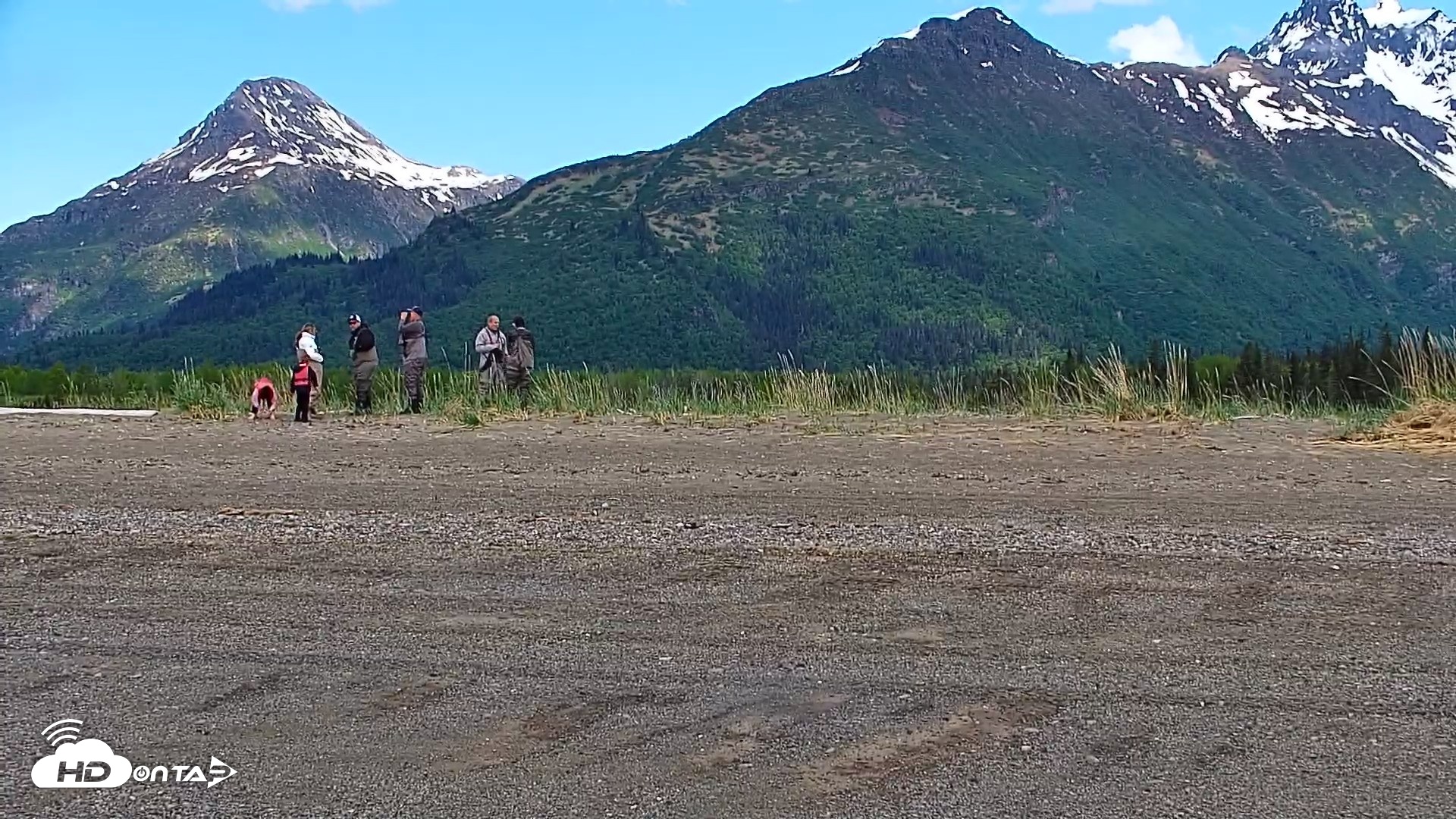Snapshot of Cook Inlet Alaska Bear Viewing Live Cam taken Jun 12, 2026, 11:54am AKDT