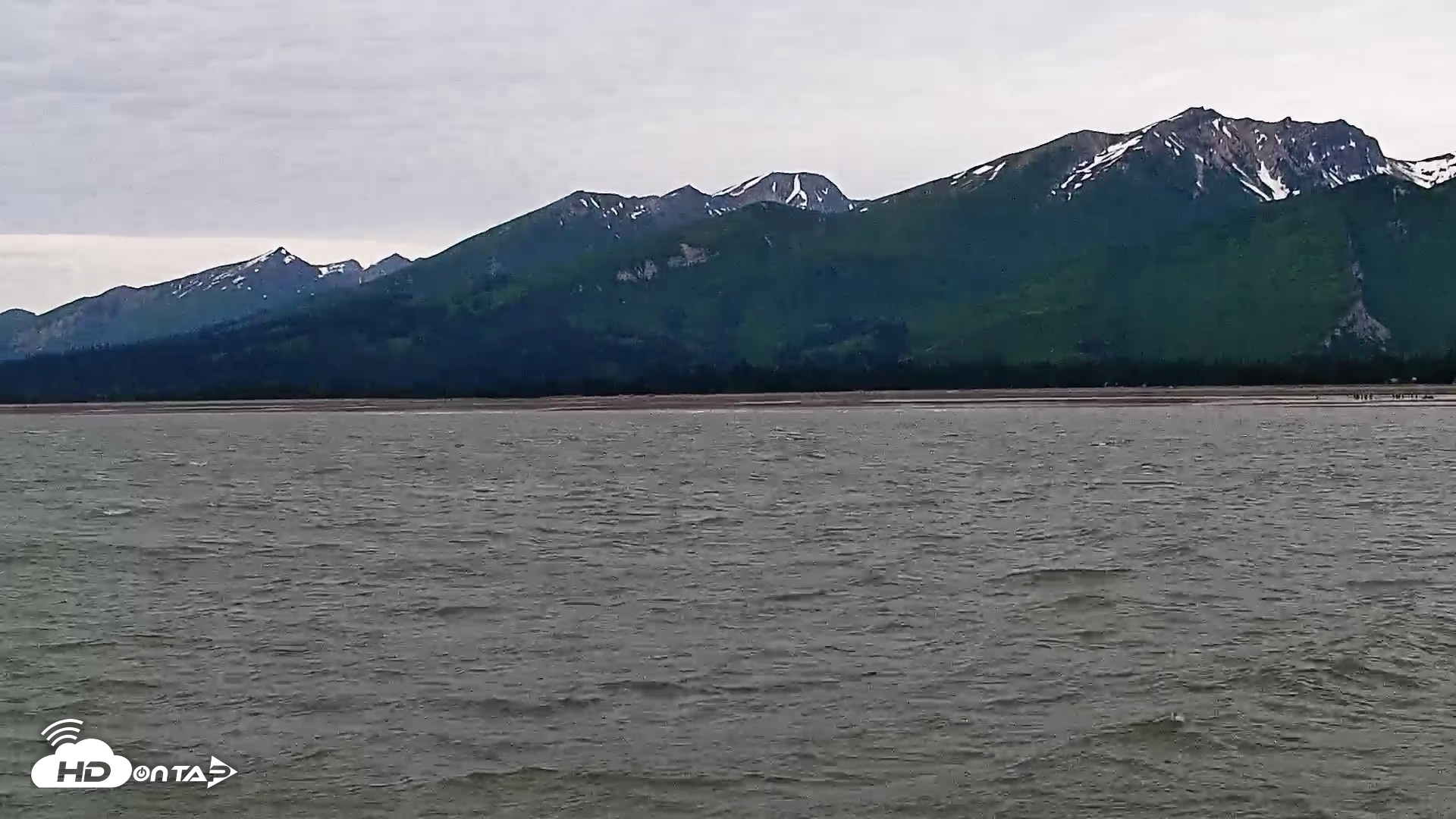 Snapshot of Cook Inlet Alaska Bear Viewing Live Cam taken Jul 3, 2026, 12:20pm AKDT