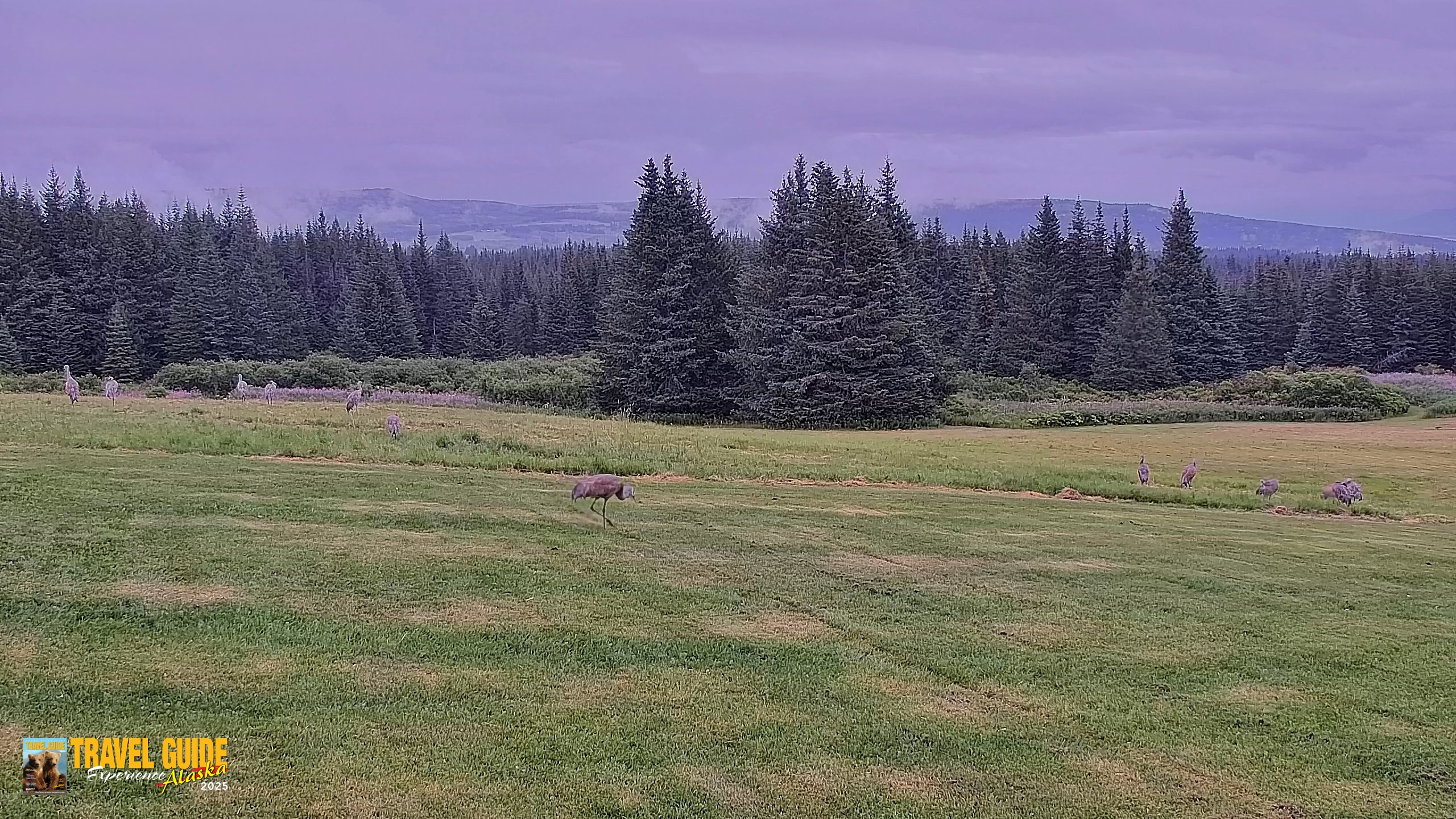 Snapshot of Inspiration Ridge - Homer Alaska Live Webcam taken Aug 19, 2026, 4:47pm AKDT